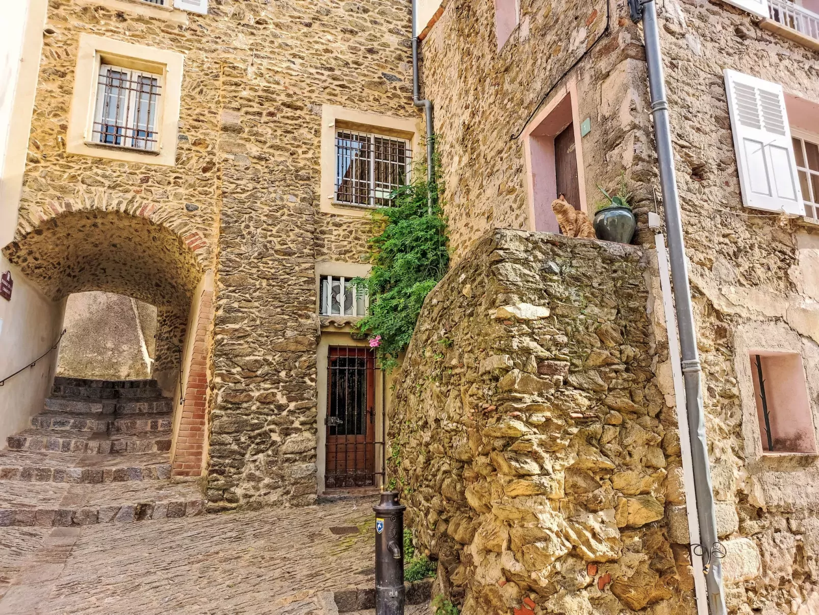 Le Mimosa St Laurent-Umgebung