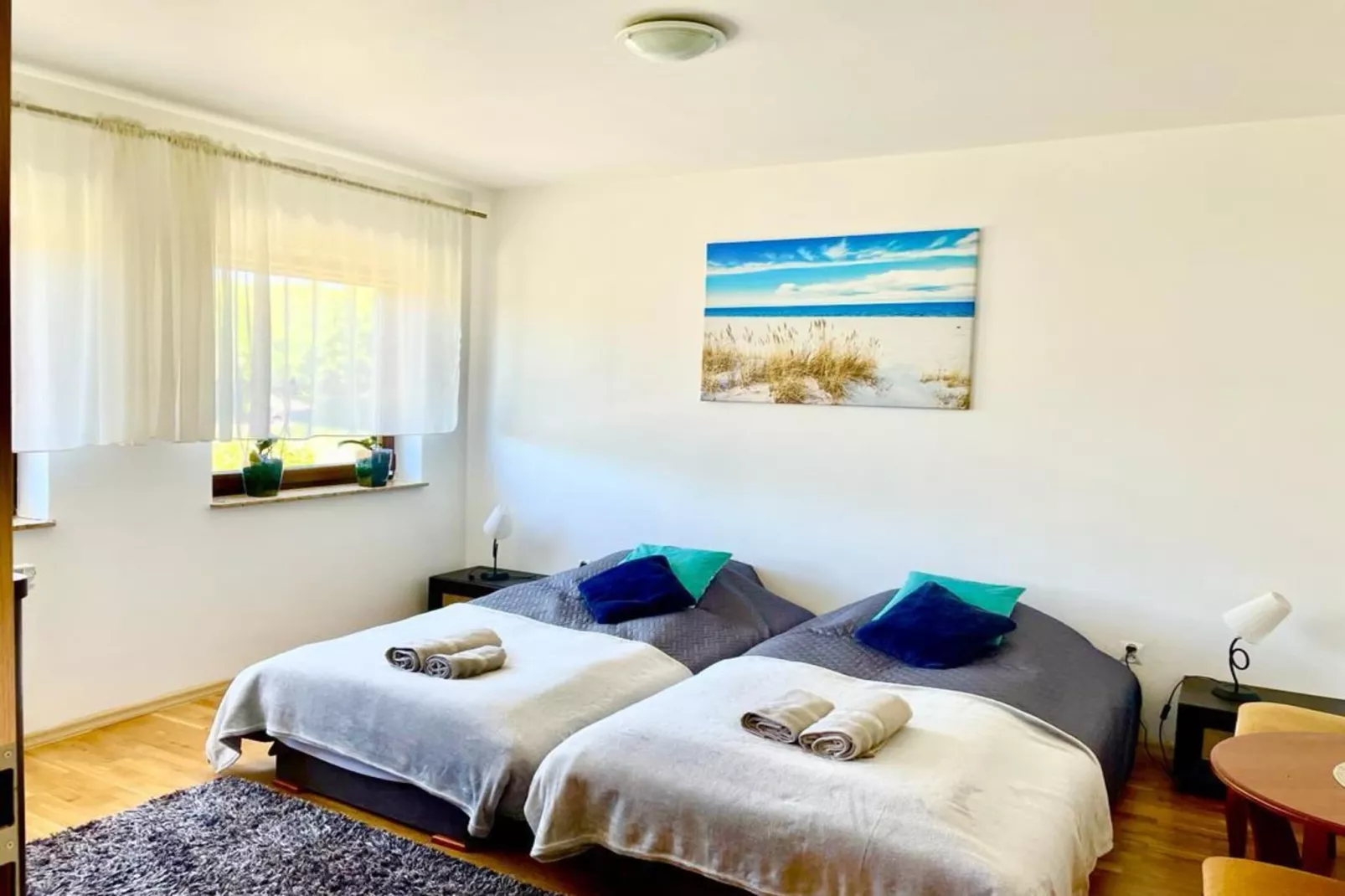 Holiday spacious modern flat in Dabrowa-Chambre
