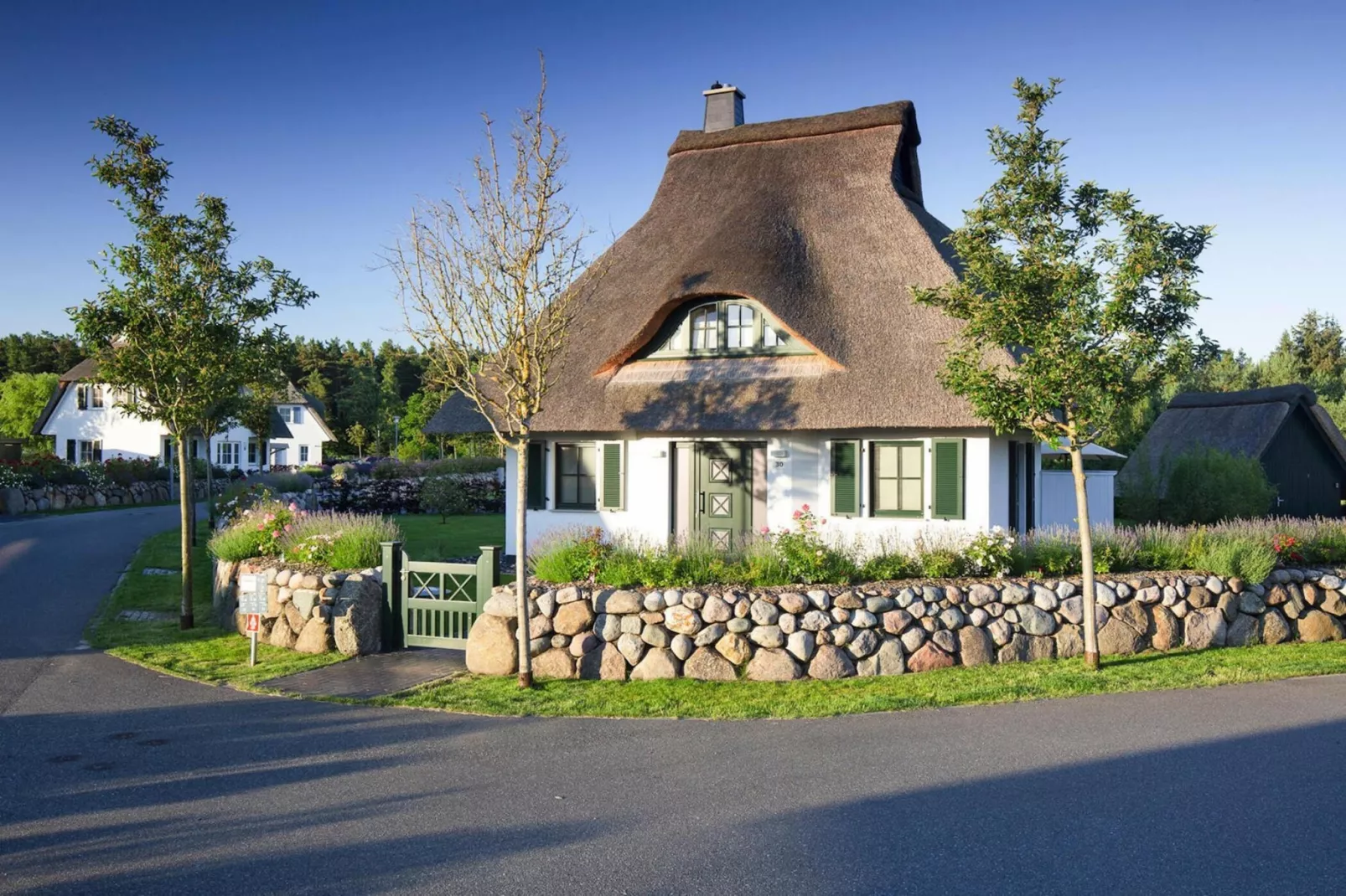 Seeadler 42-Exterior summer