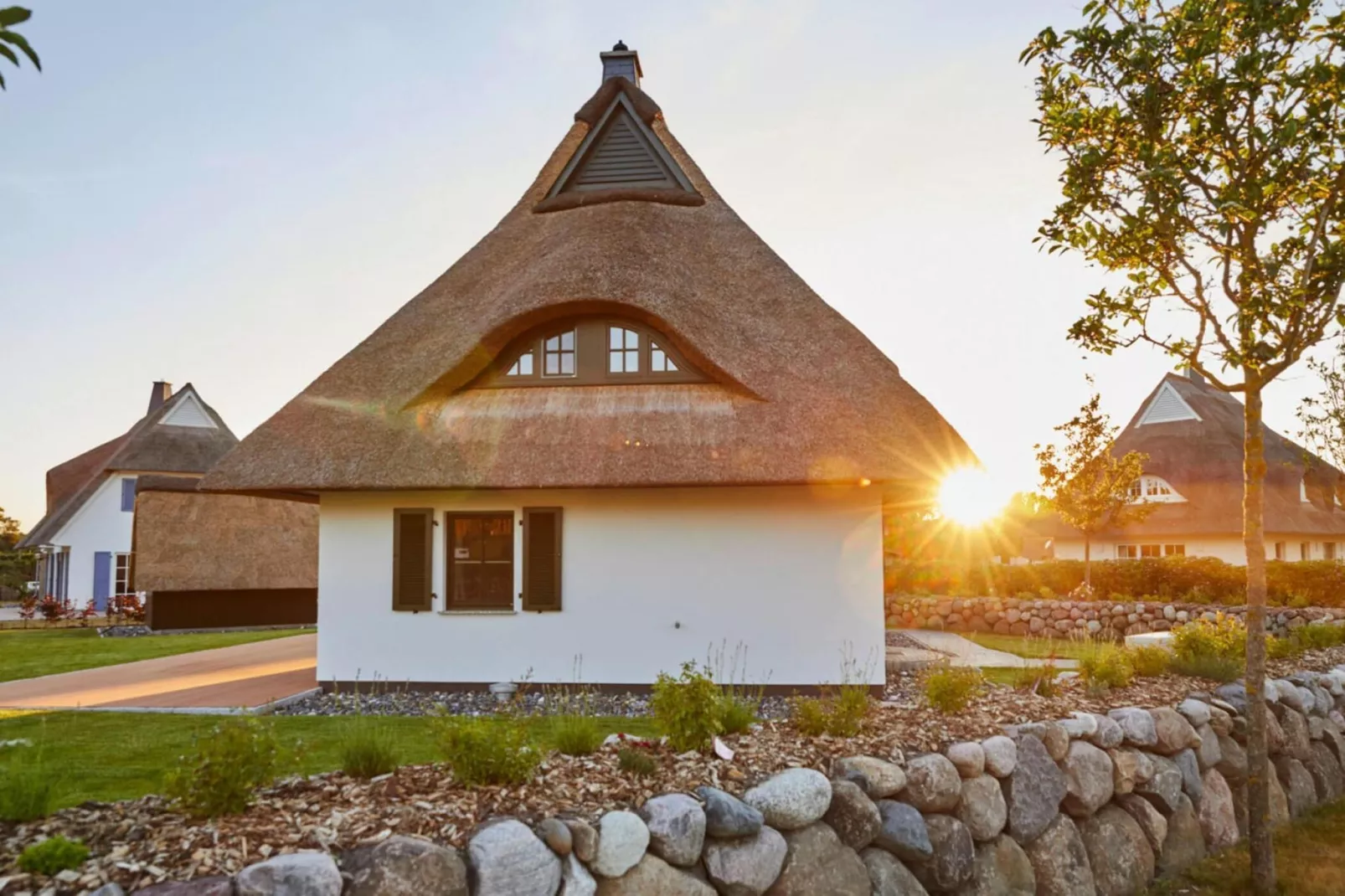 Seeadler 42-Exterior summer