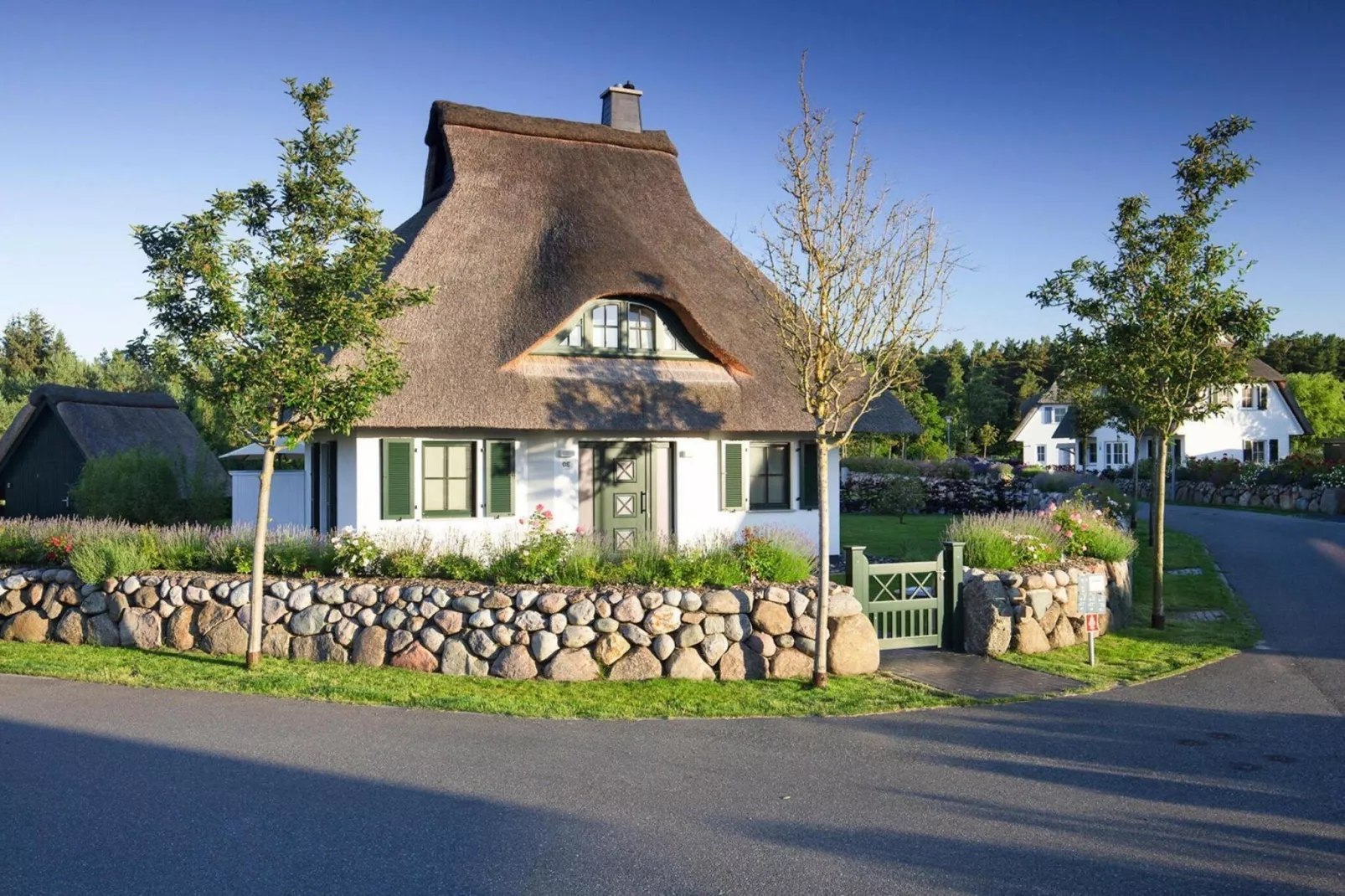 Seeadler 42-Exterior summer
