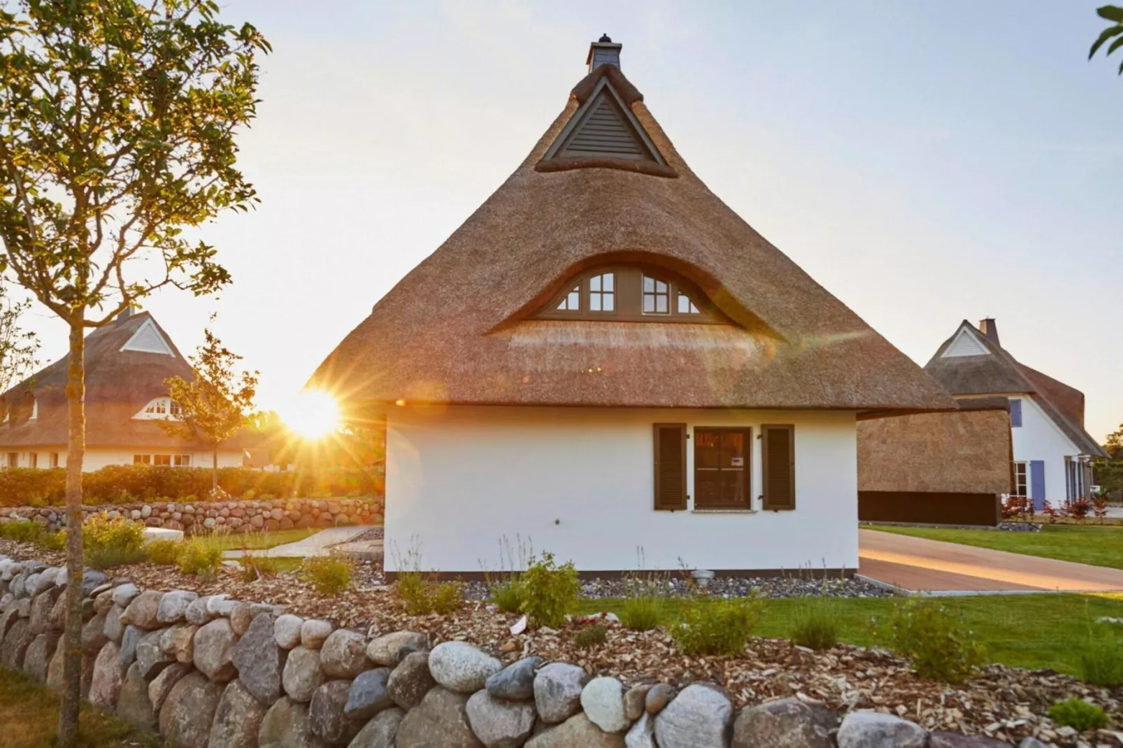 Seeadler 42-Exterior summer