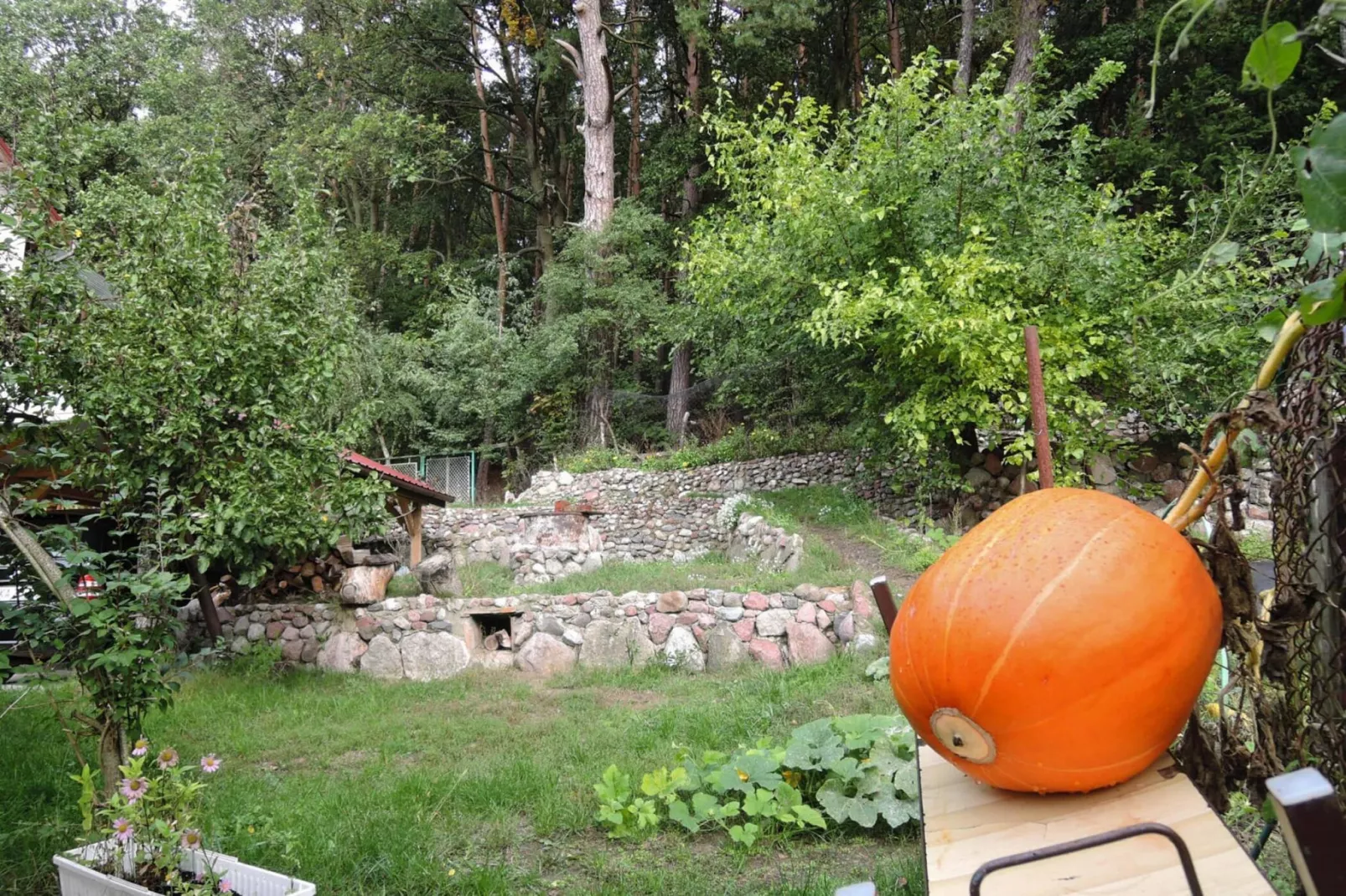 Semi-detached house in Wiselka-Jardin d'été
