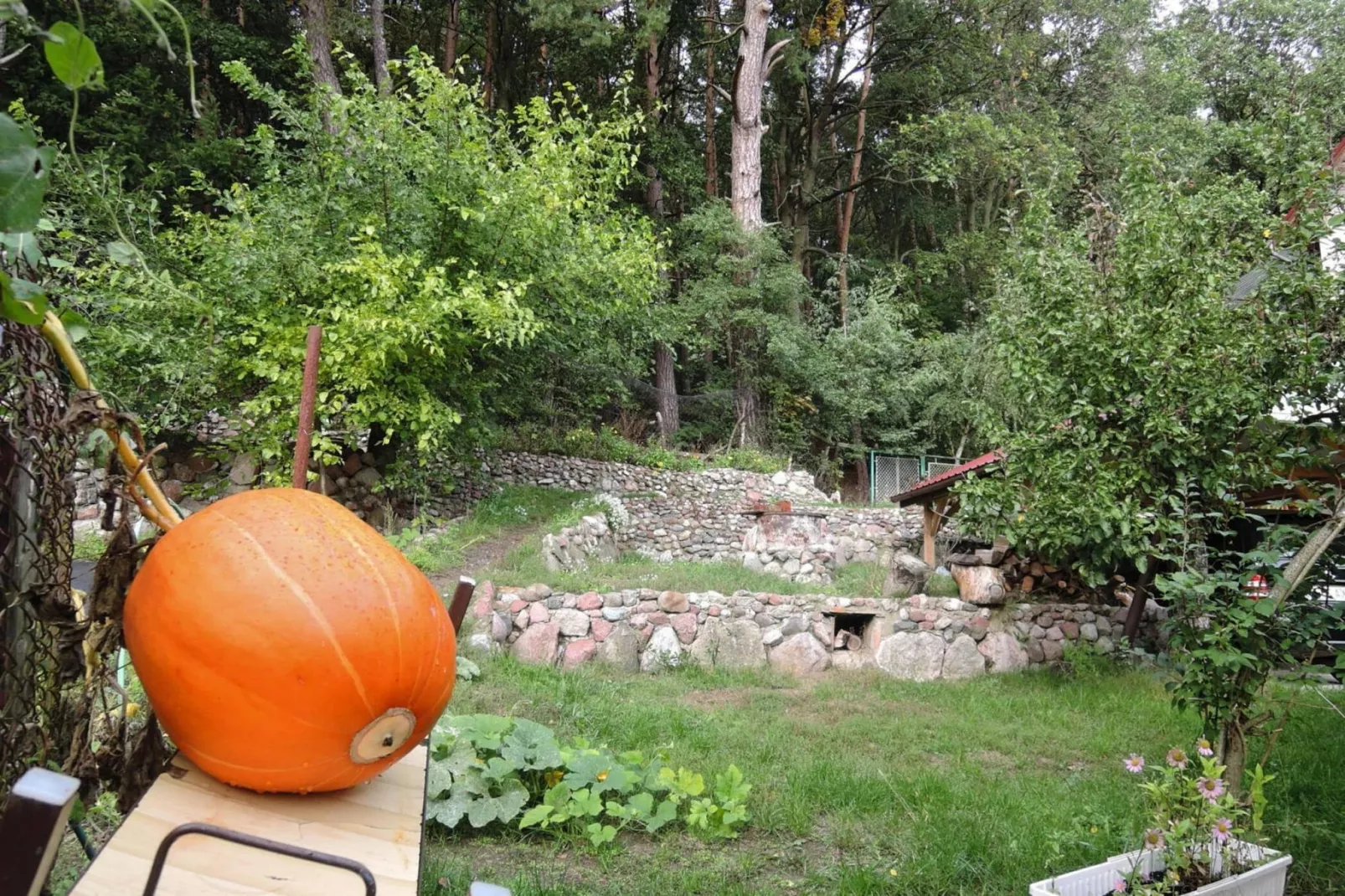 Semi-detached house in Wiselka-Jardin d'été