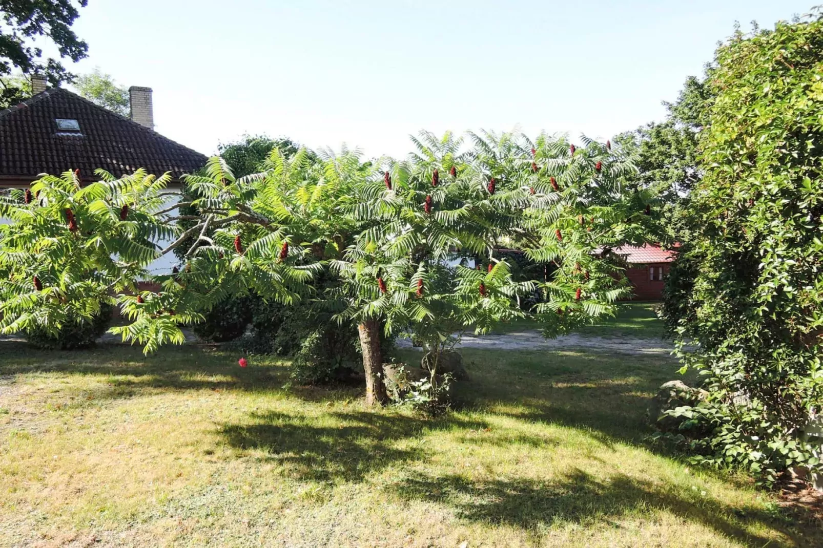Bungalows Lubin Typ A Jolanta-Areas summer 1km