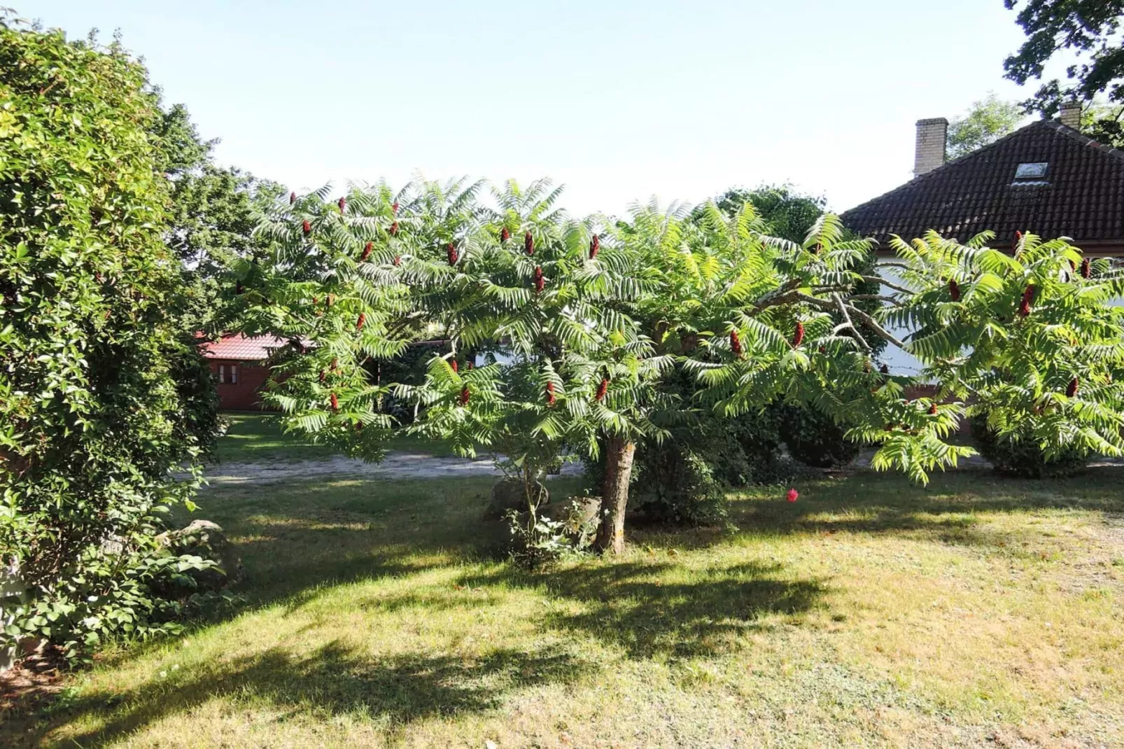 Bungalows Lubin Typ A Jolanta-Areas summer 1km