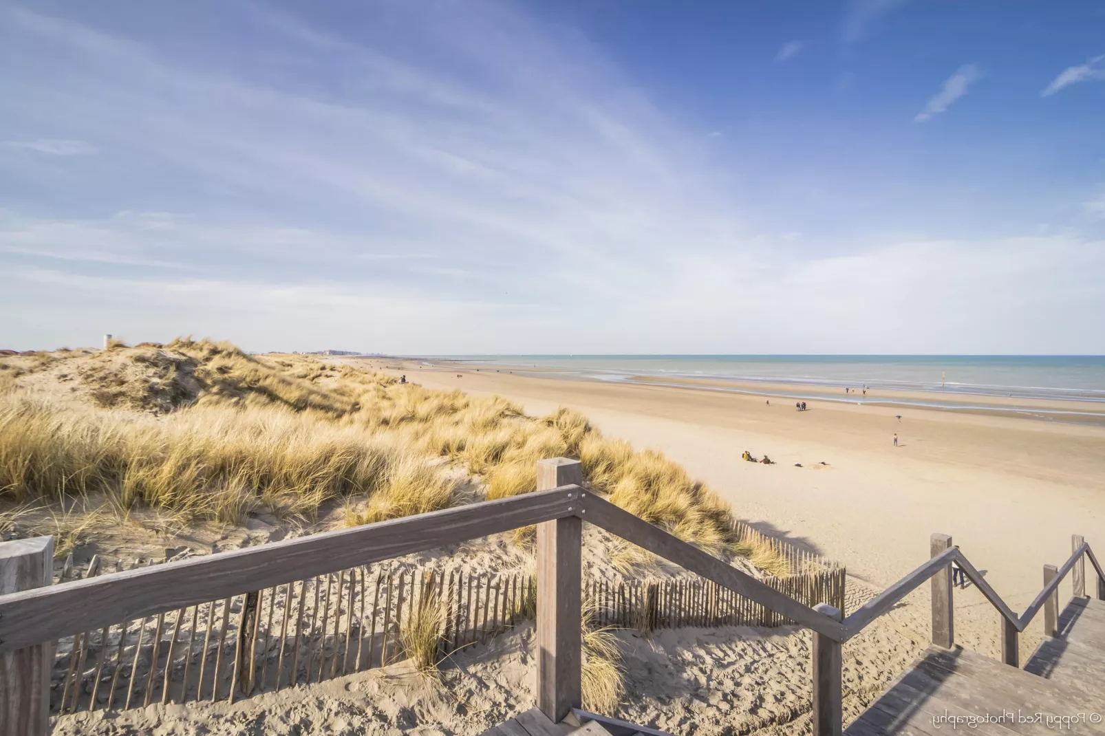 CAPE COD 201-Areas summer 5km