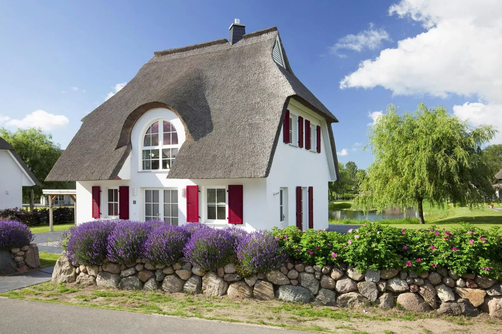 Schilfrohrsänger 61-Exterior summer