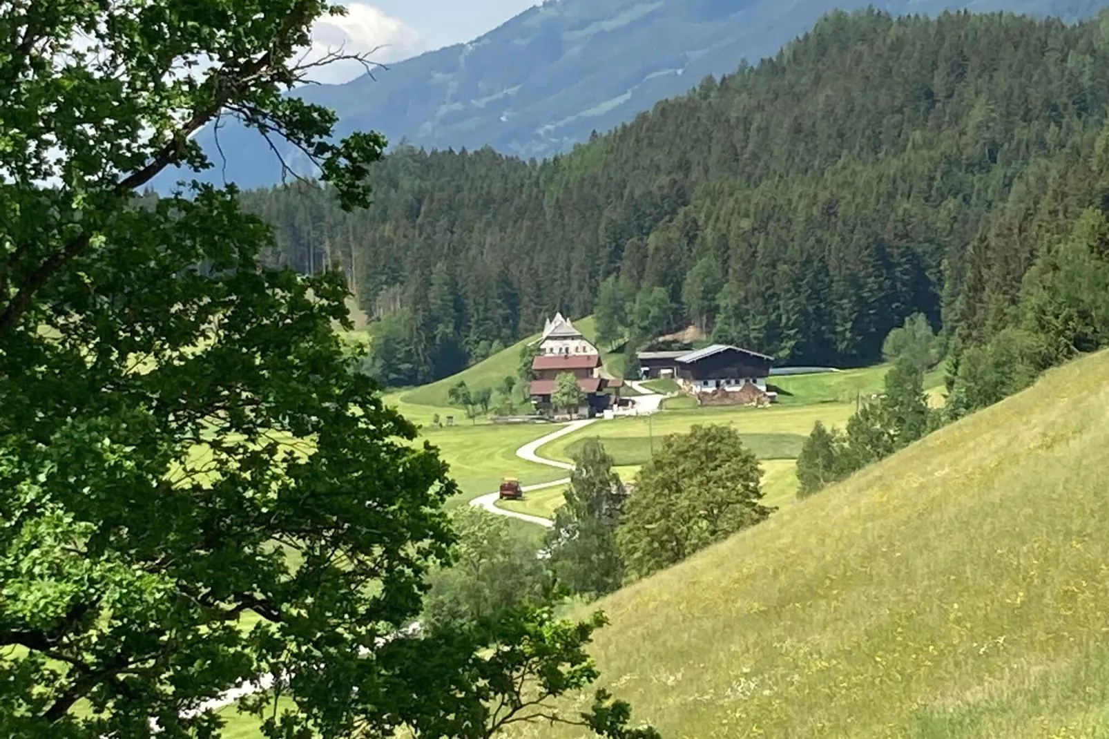 Fewo Pinzgau-View summer