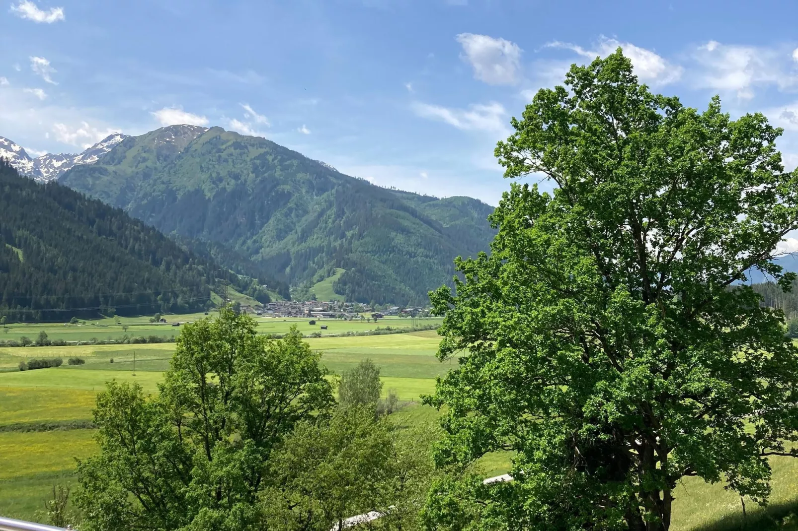 Fewo Pinzgau-View summer