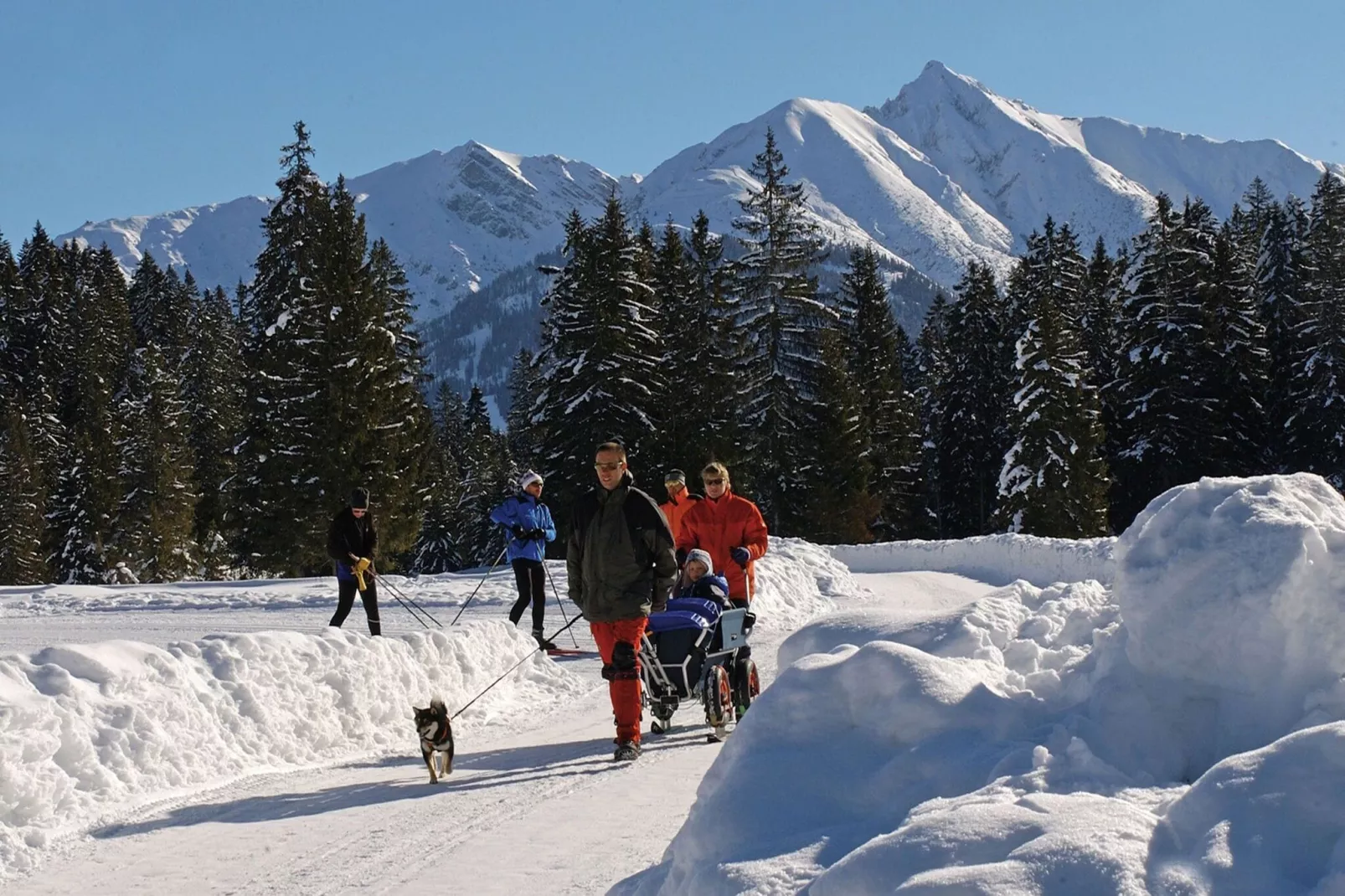 Menardi A-Area winter 20km