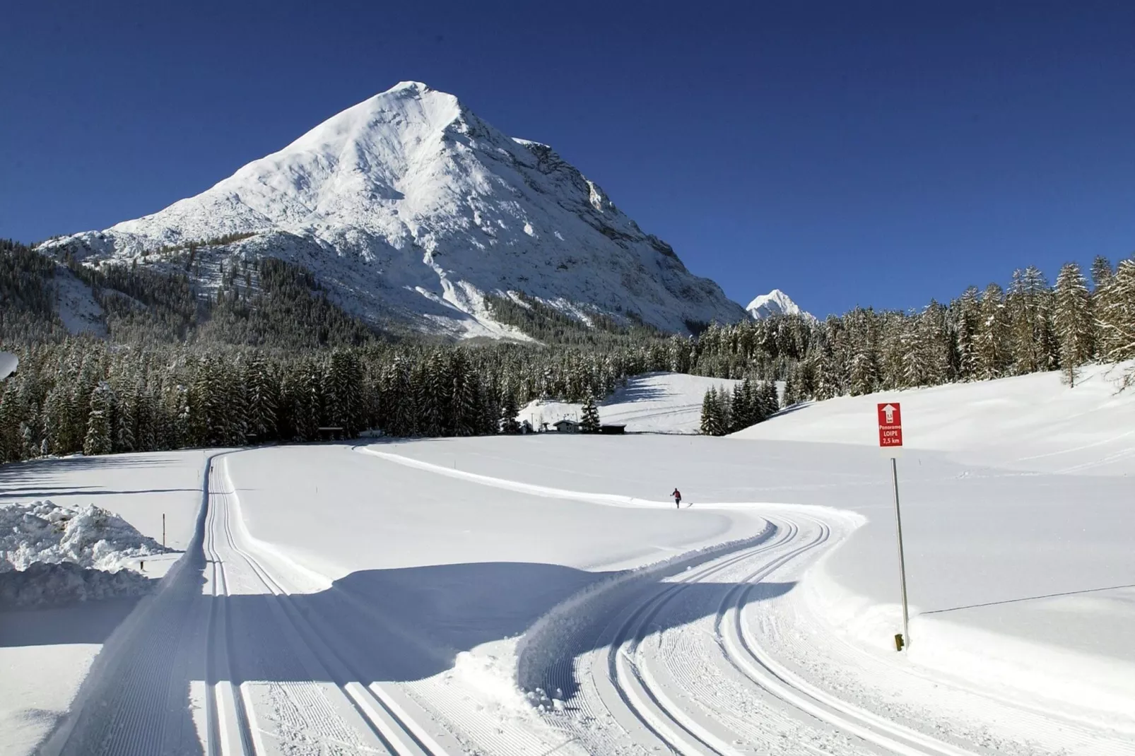 Menardi A-Area winter 20km