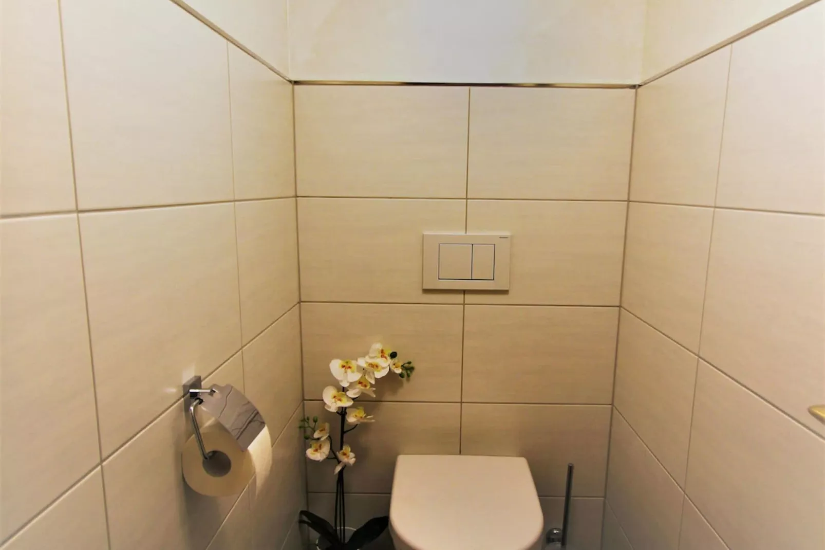 Menardi C-Bathroom