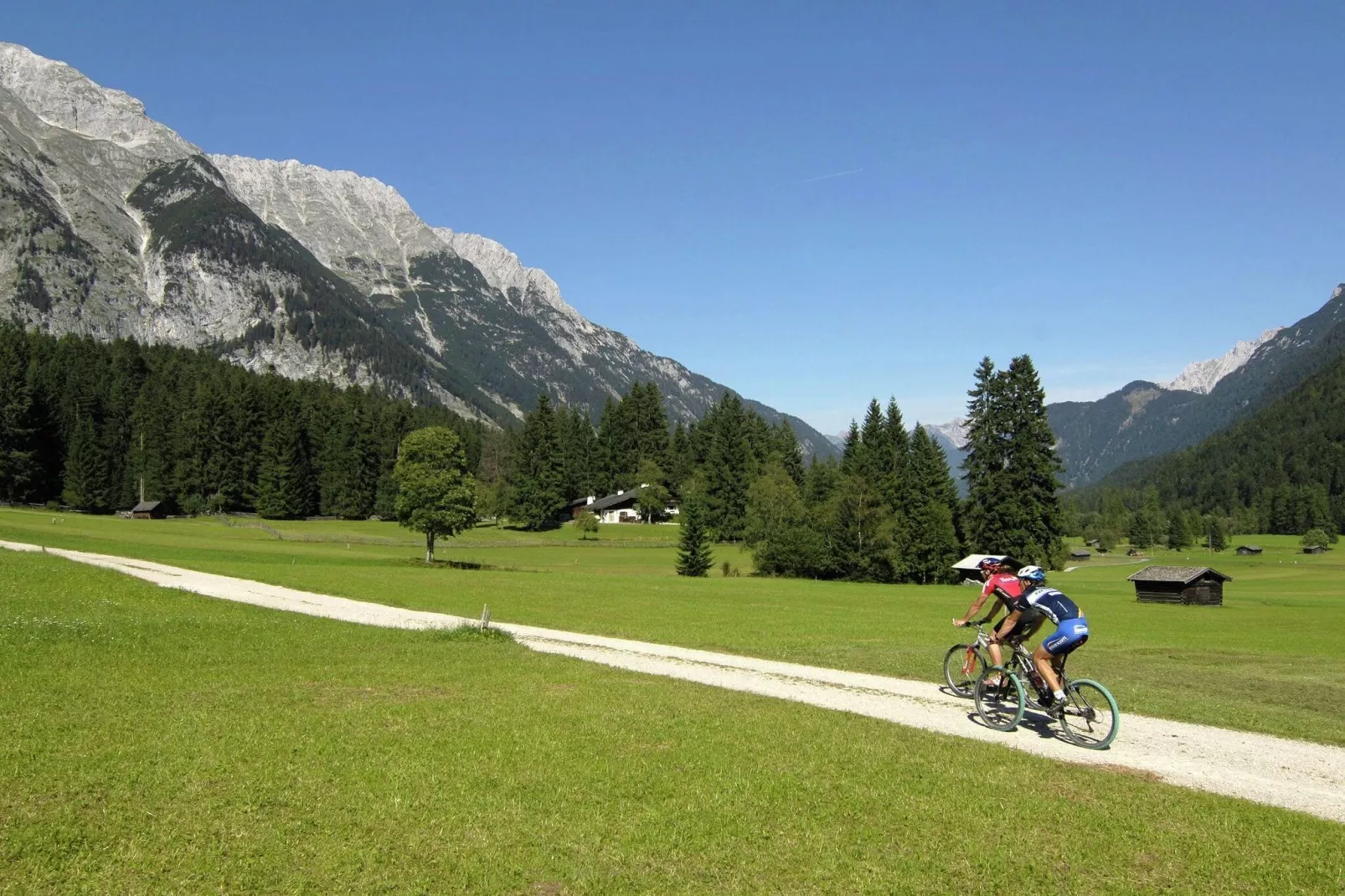 Menardi D-Areas summer 20km