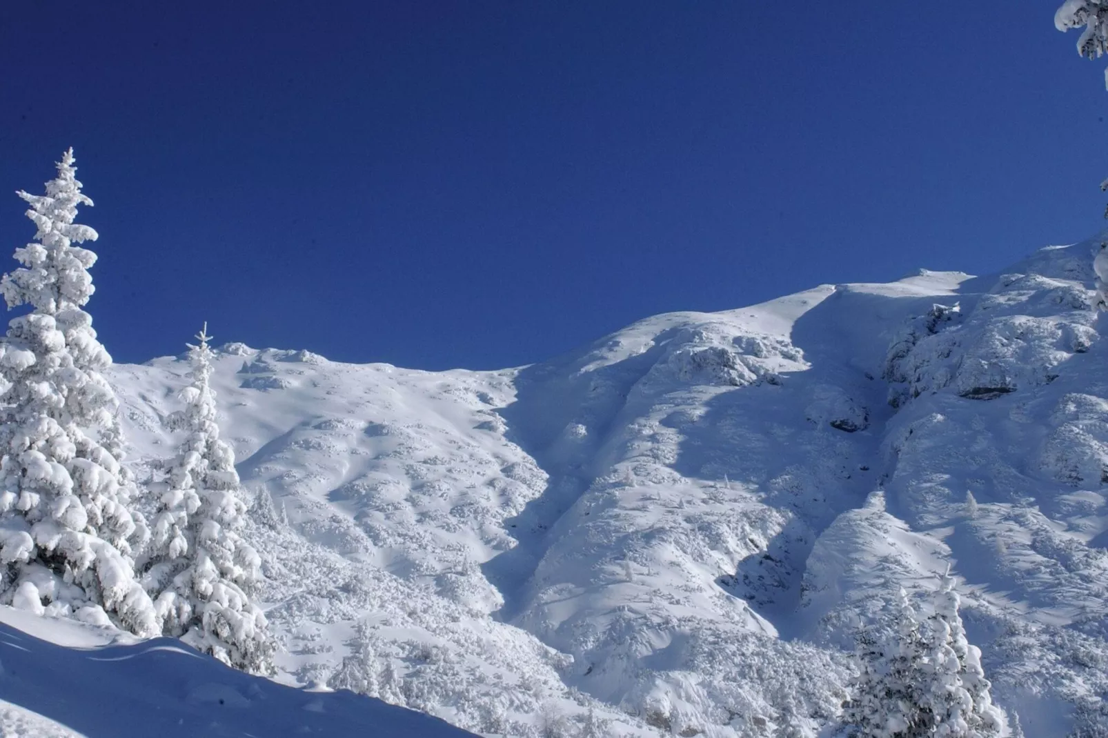Menardi D-Area winter 20km
