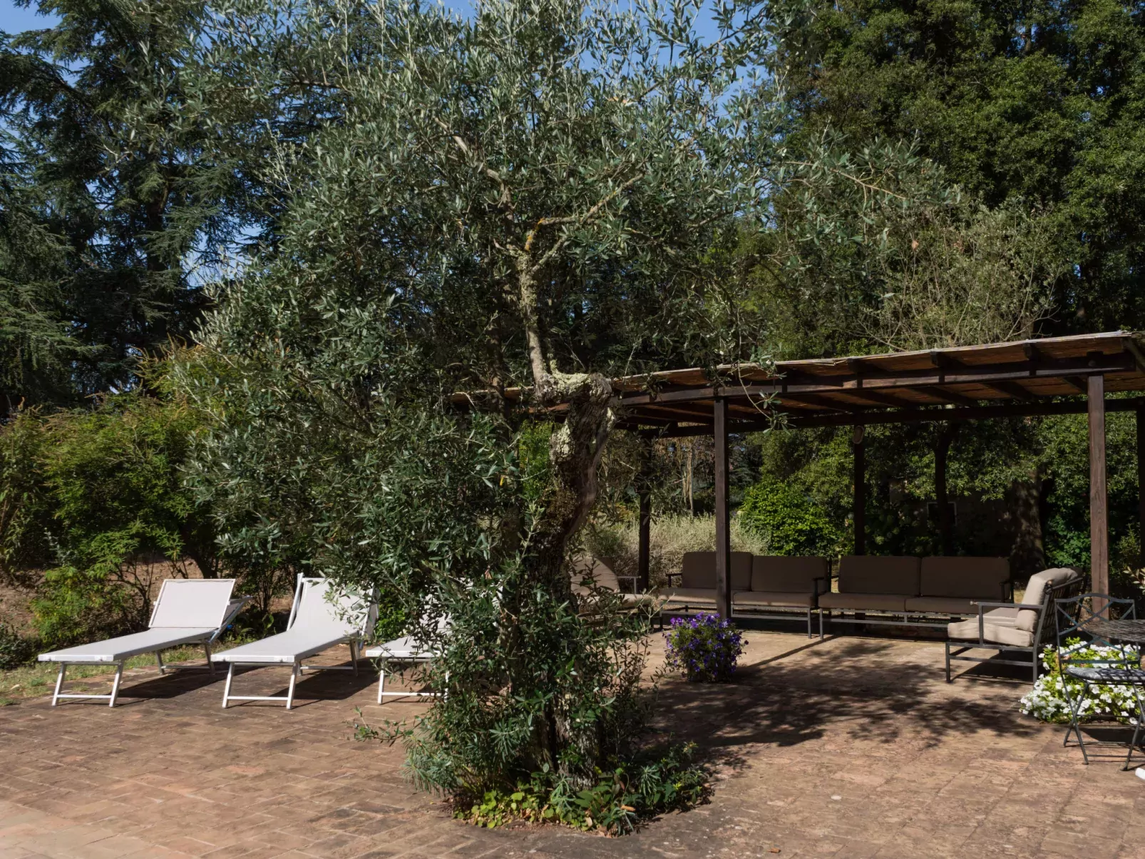 Il Giardino Di Eugenia-Draußen