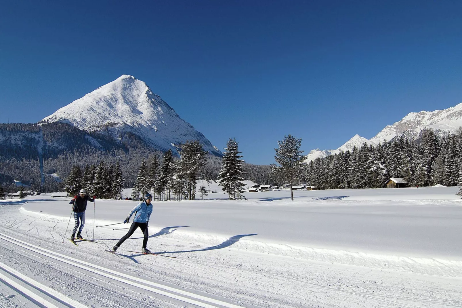 Menardi D-Area winter 20km