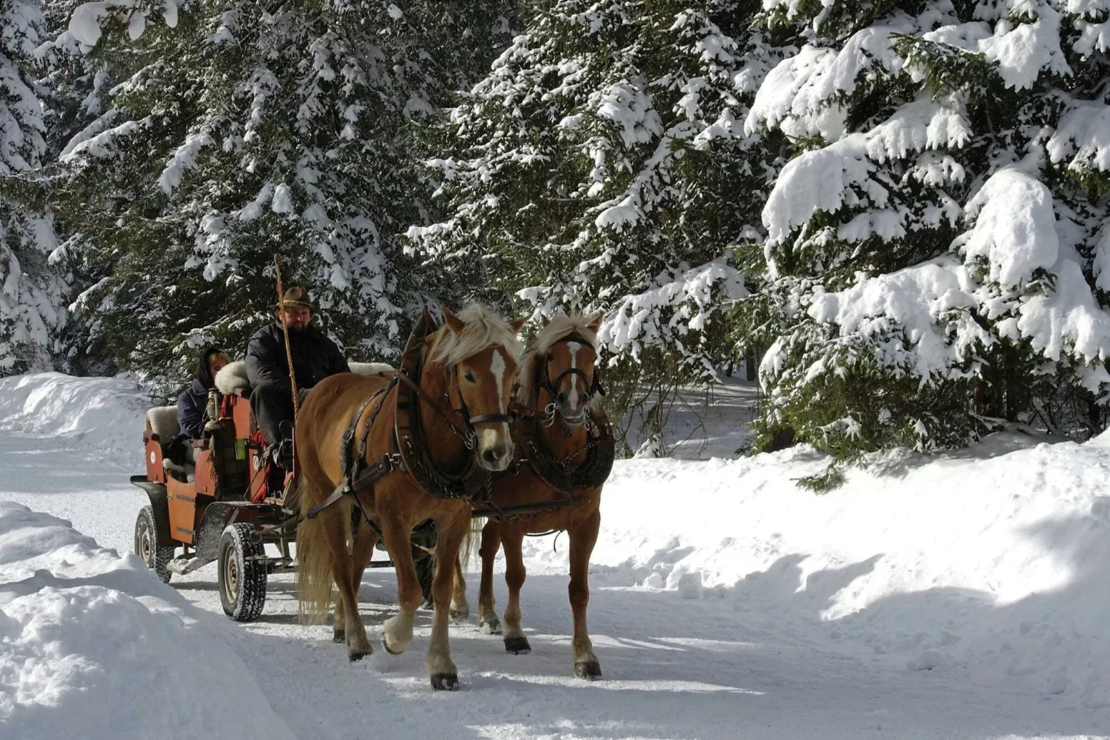 Menardi D-Area winter 20km