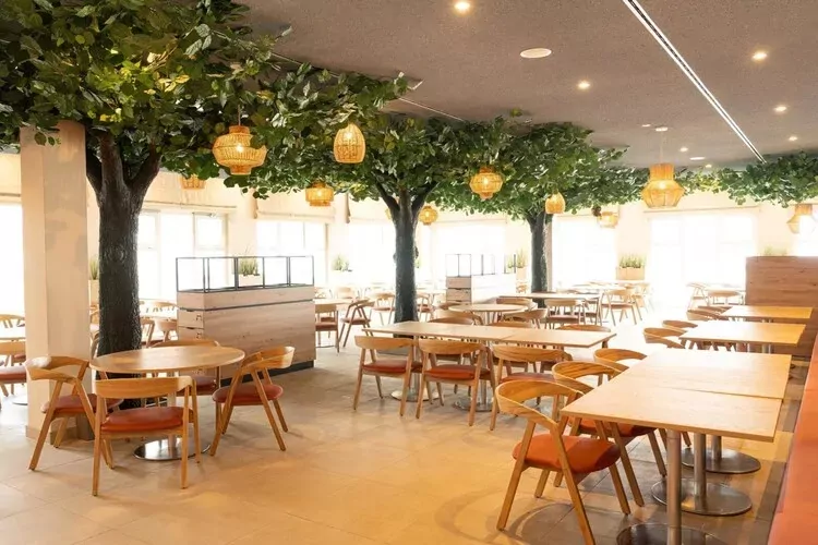 BEECH Resort Boltenhagen - Typ 3-Park facilities