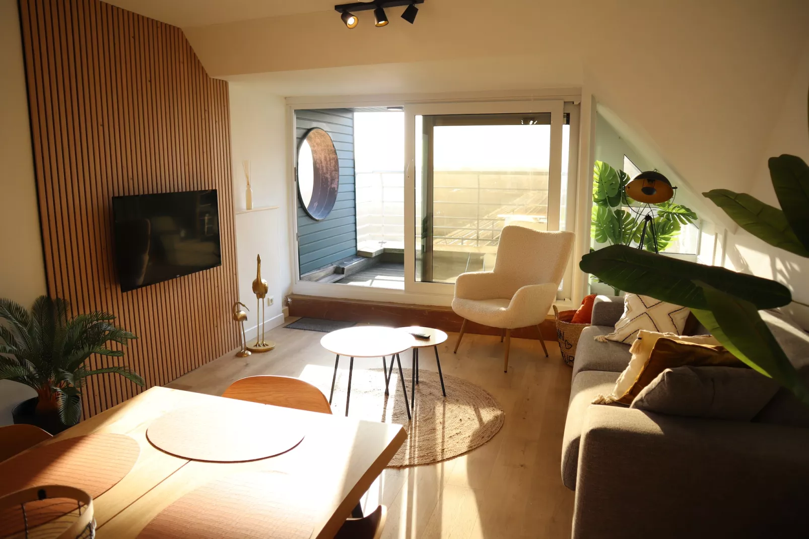 APOLLO V 602-Living room