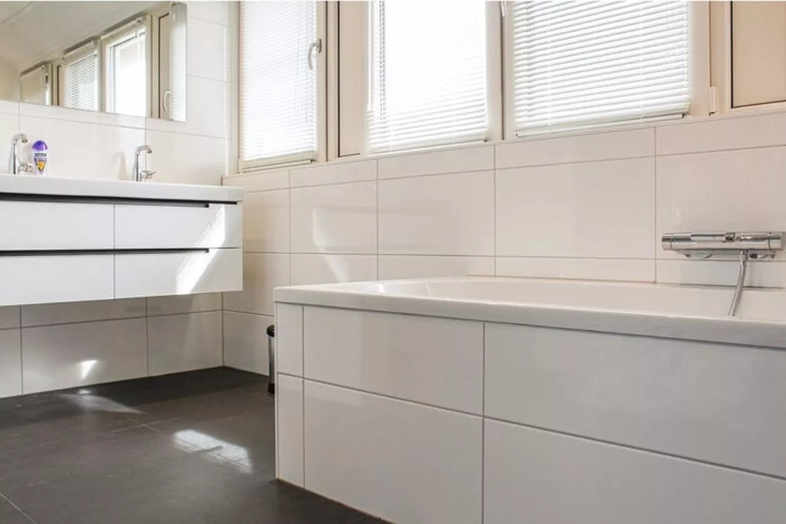 Recreatiepark Idskenhuizen 2-Badezimmer