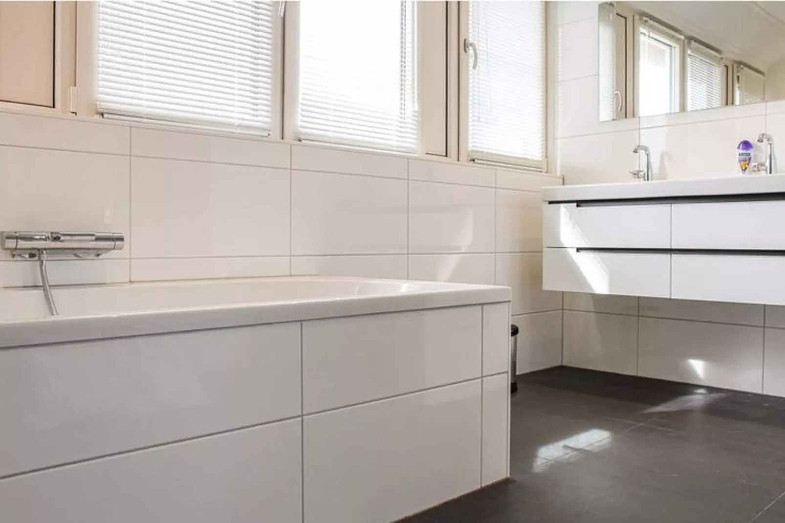 Recreatiepark Idskenhuizen 2-Badezimmer