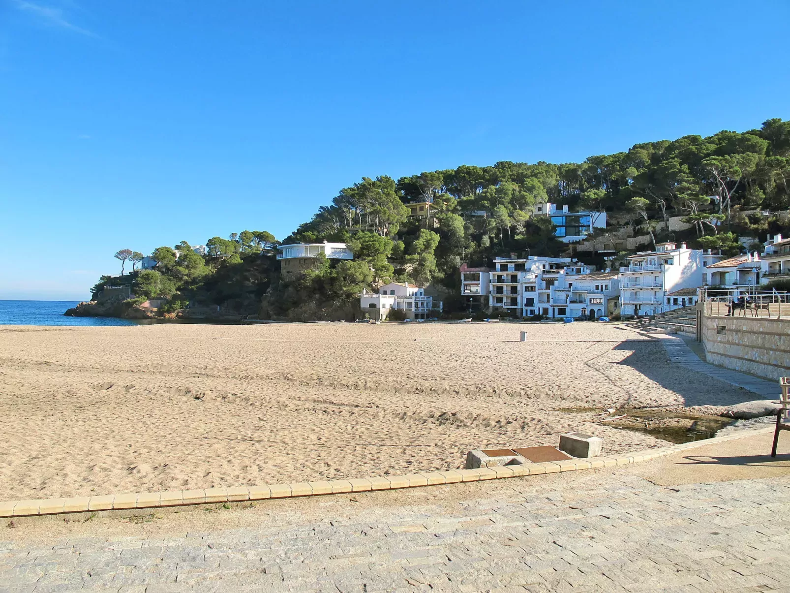 S'Olivera Nº6-Area