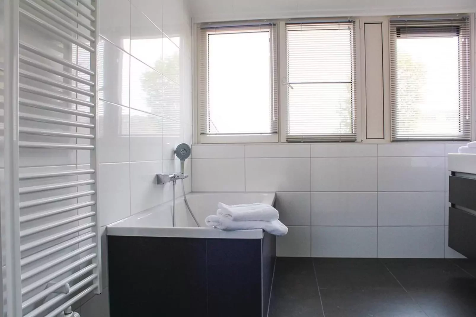 Recreatiepark Idskenhuizen 6-Badezimmer