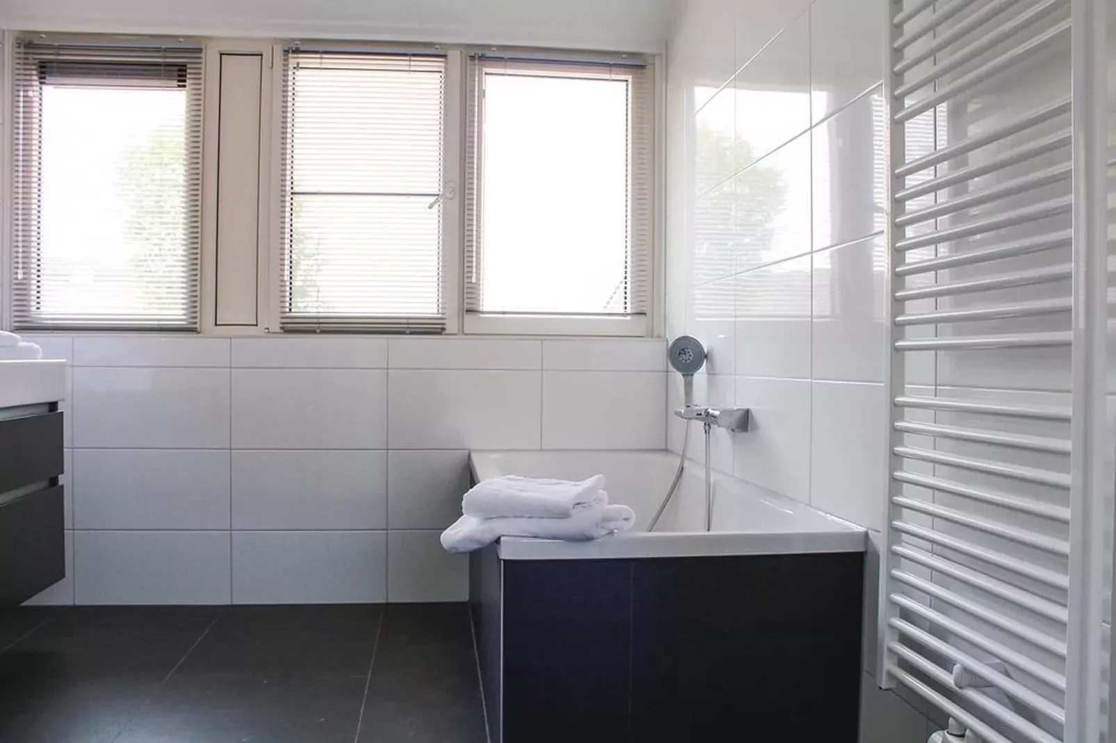 Recreatiepark Idskenhuizen 6-Badezimmer