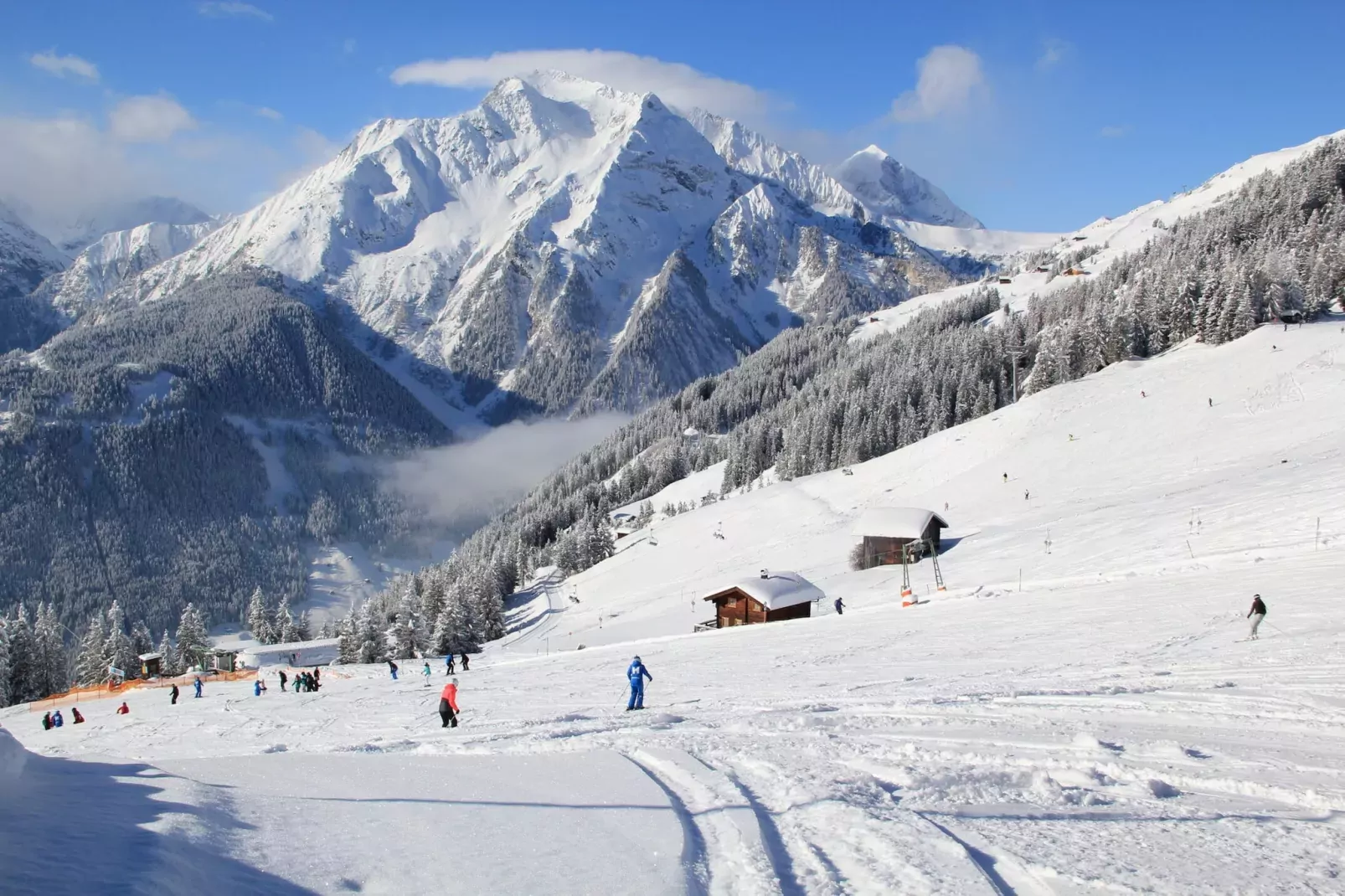 Chalet Jewel Triplex-Area winter 5km