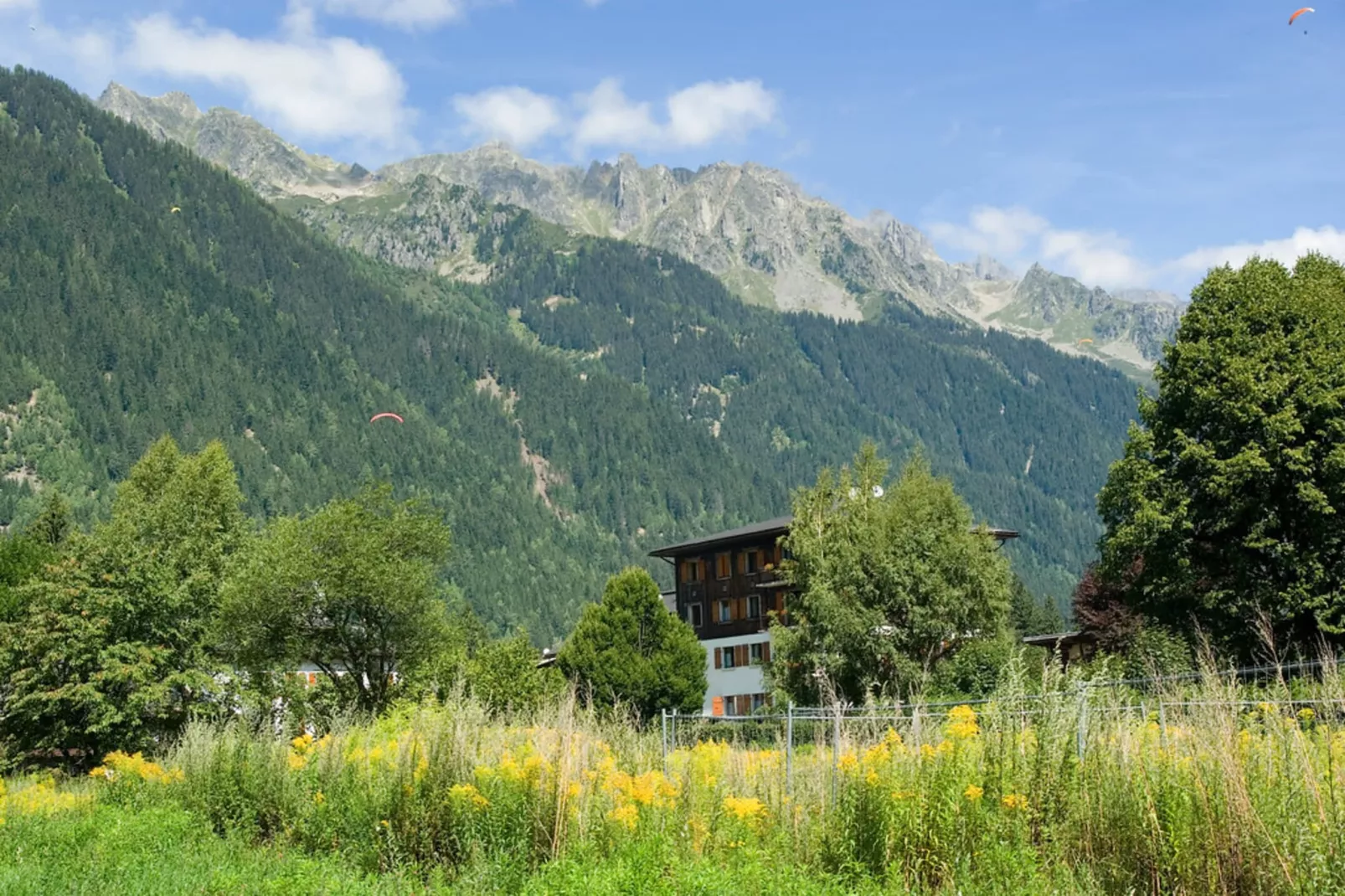 Chalet Jewel Triplex-Areas summer 20km