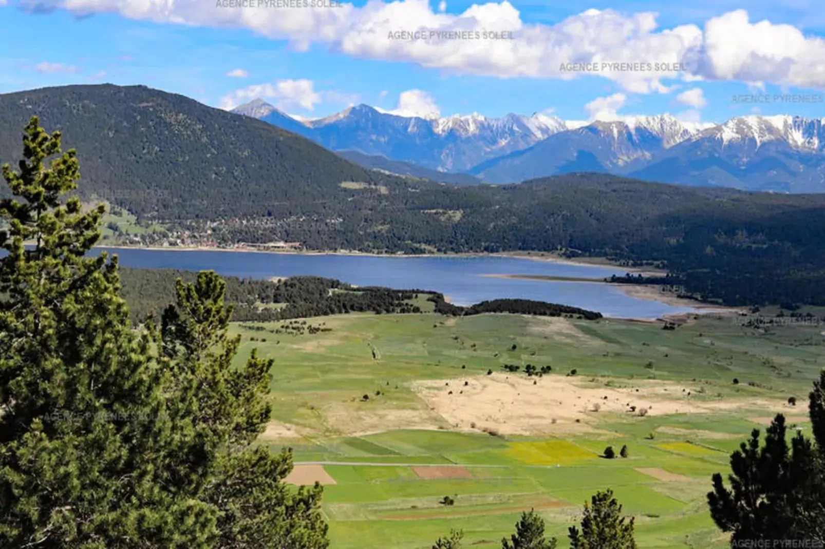 Les Epinettes 5-Areas summer 20km