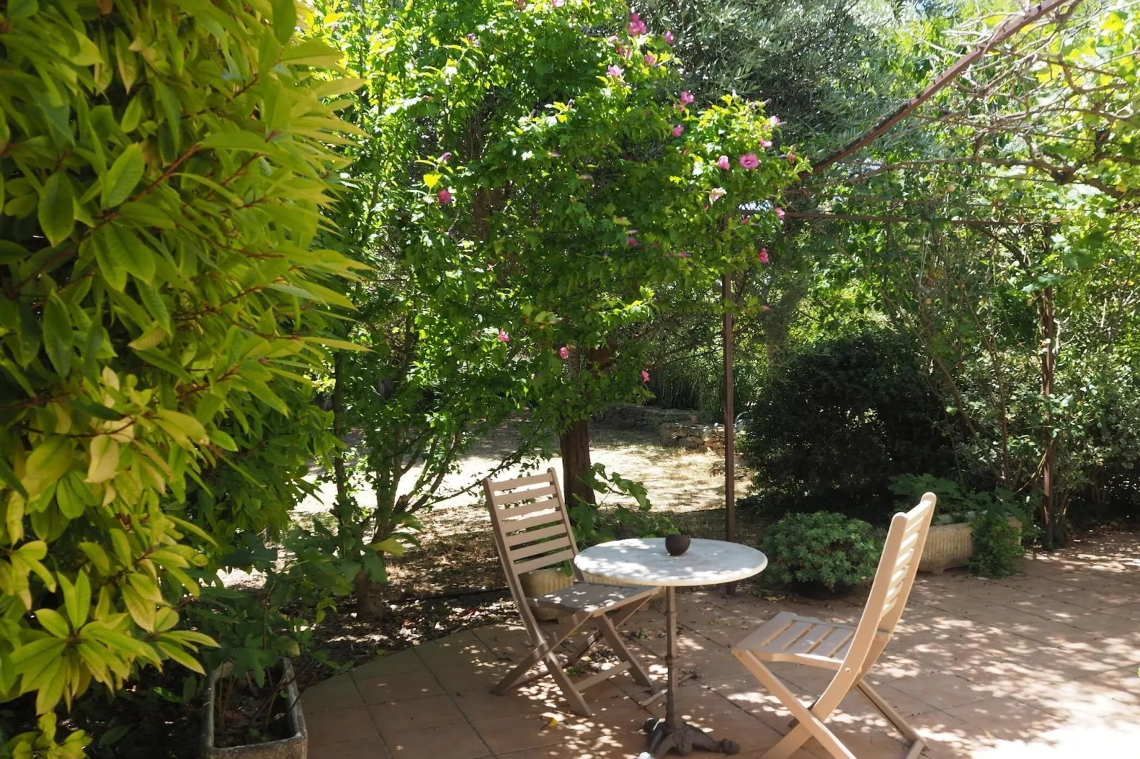 Ferienhaus in Vernègues-Gardens summer