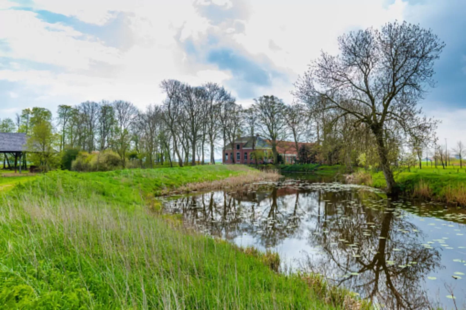 Vakantiehuis De Vlonder-Areas summer 5km