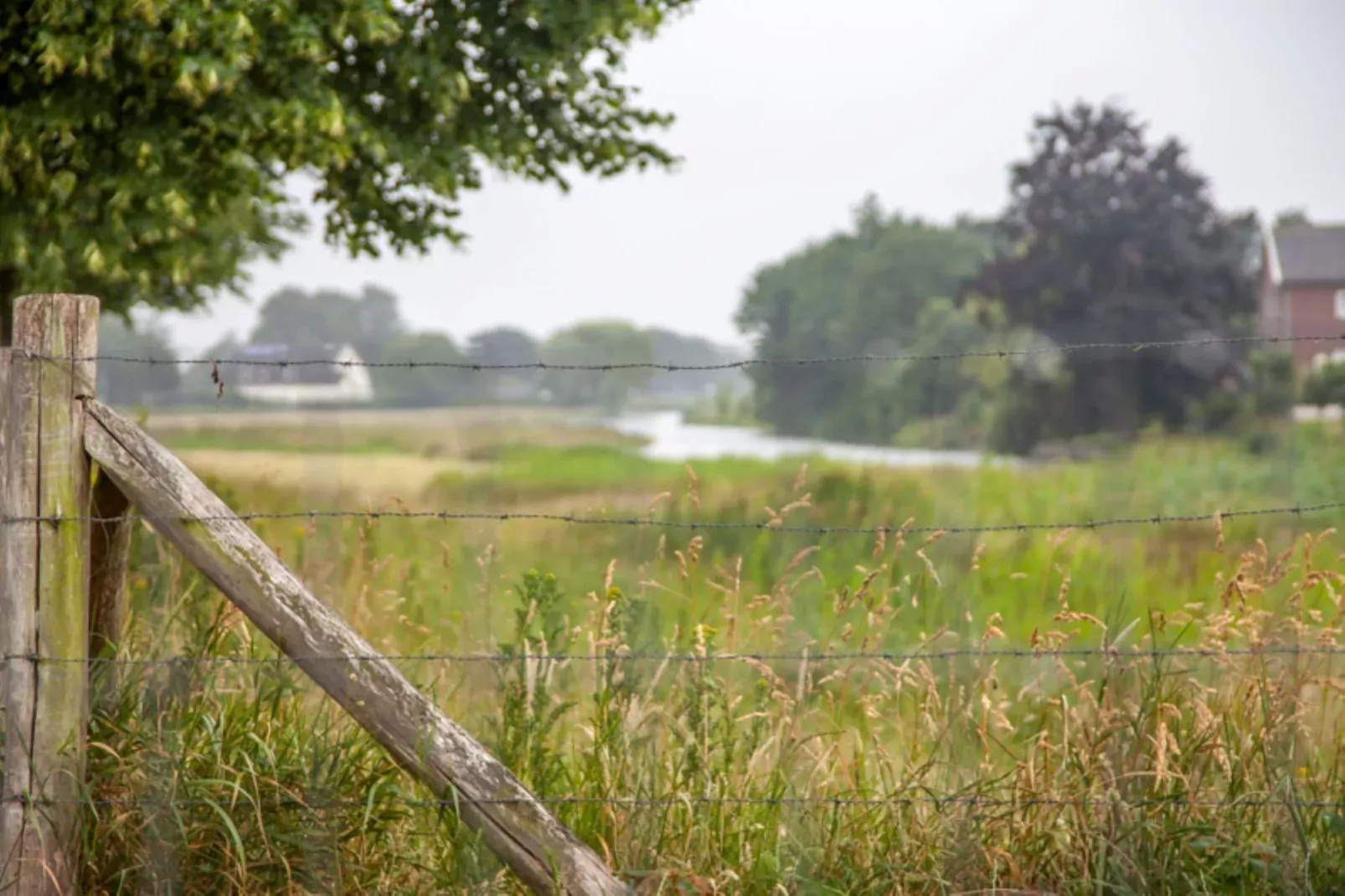 Vakantiehuis De Vlonder-View summer
