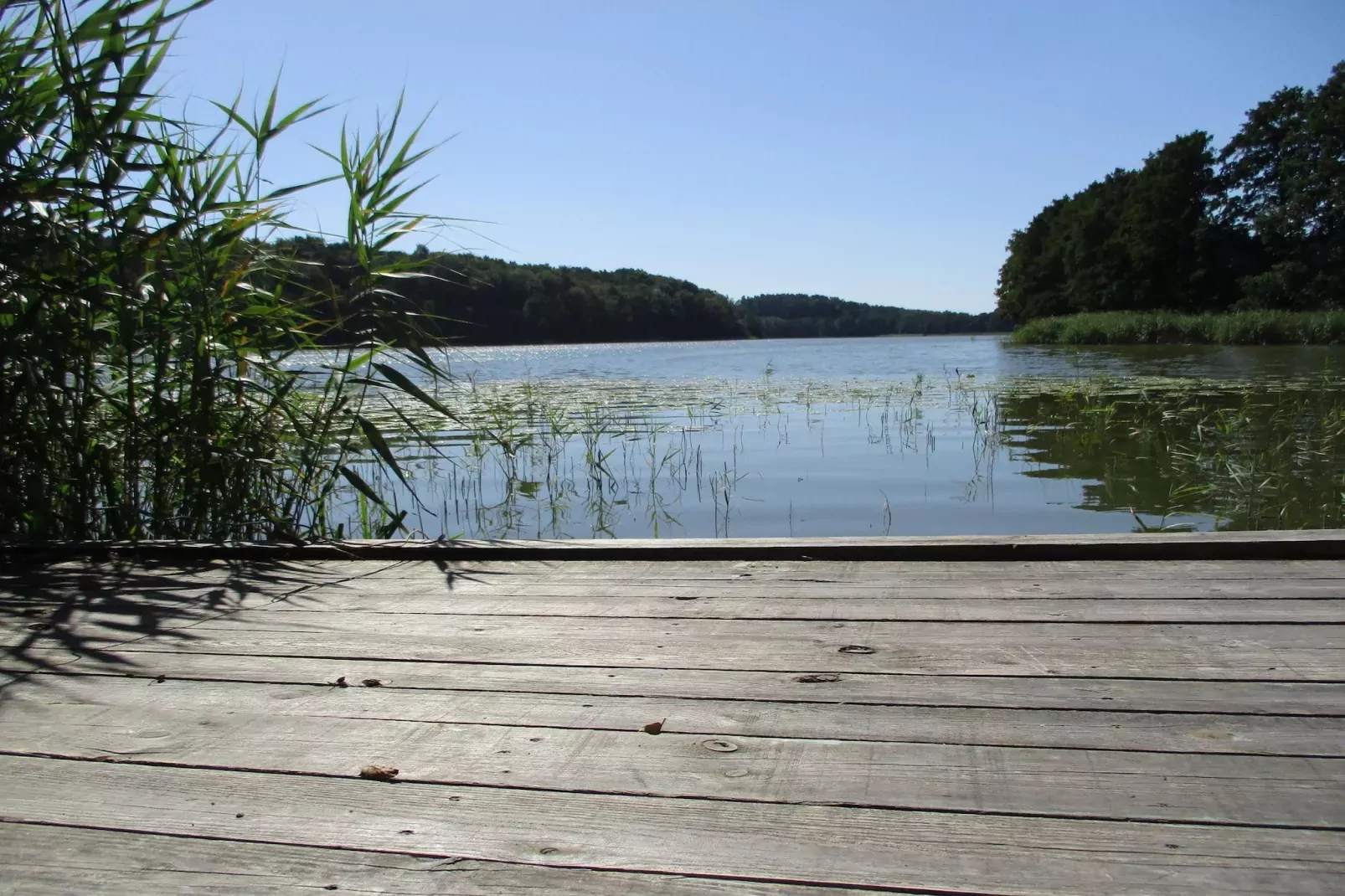 Holiday accomodations Kolczewo Nr 4 i 4a-Areas summer 1km