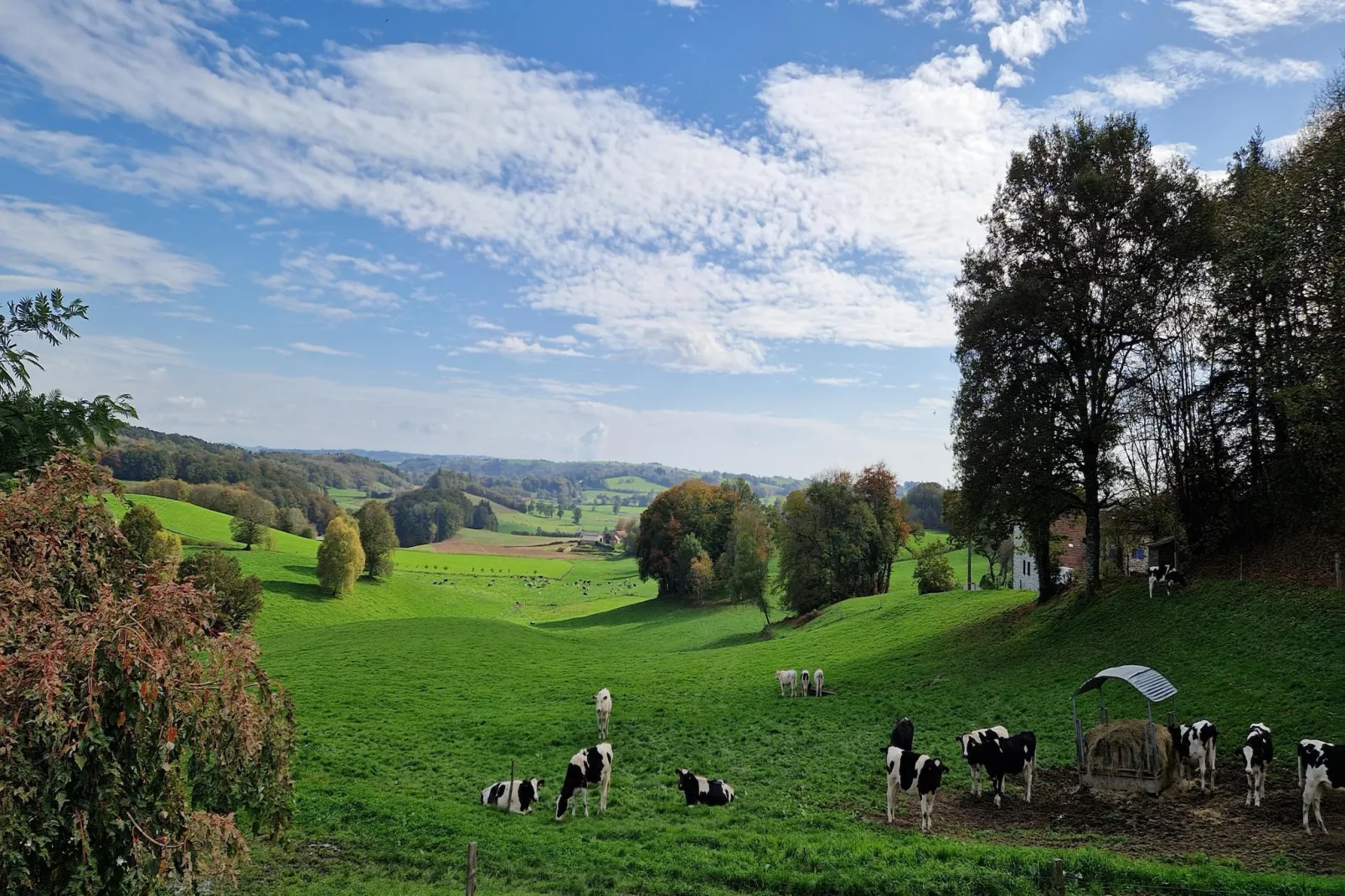 Le domaine d'Hypolite-View summer