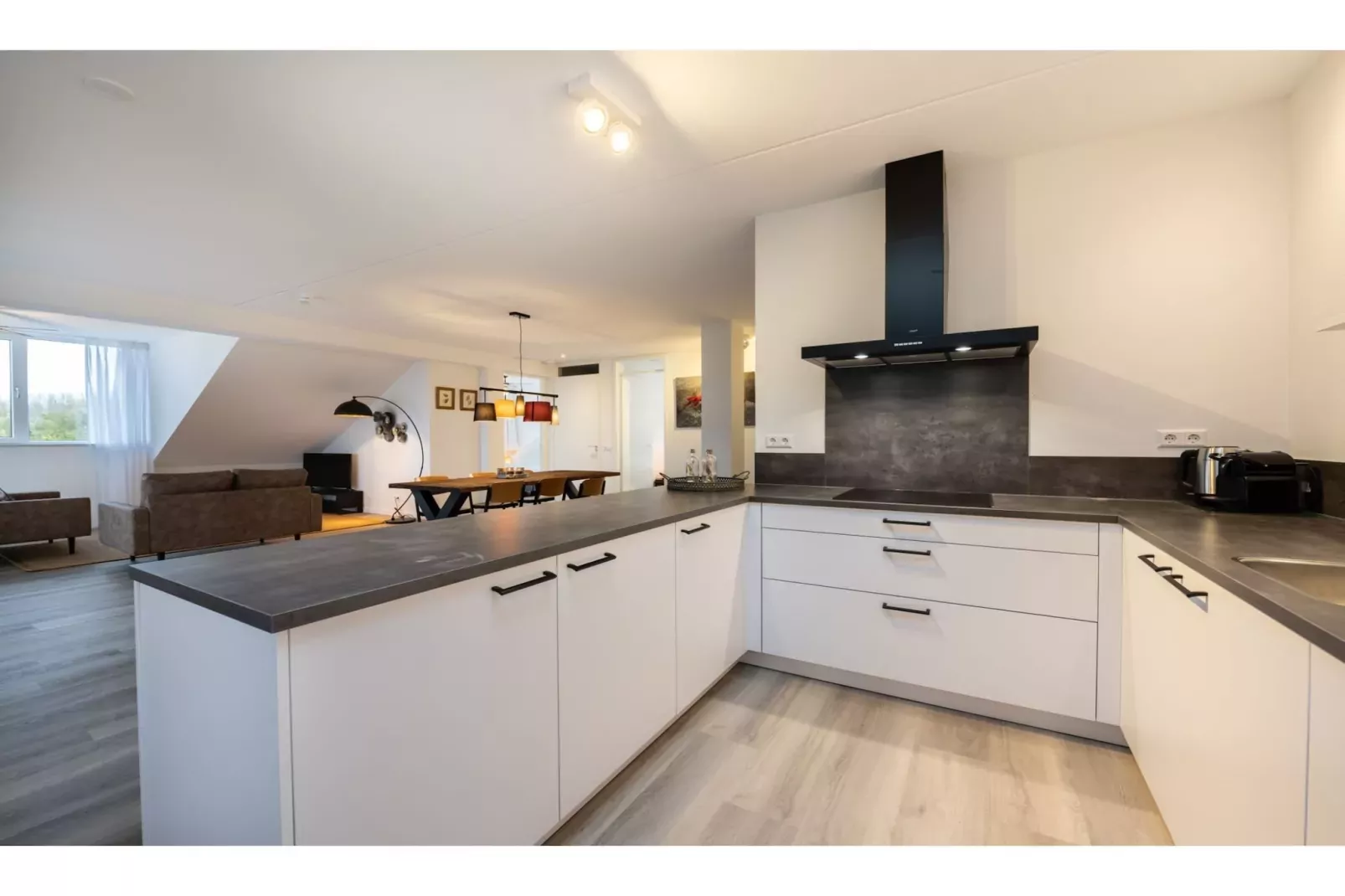 Harbour Loft 3 Résidence Marina polderzicht-Kitchen
