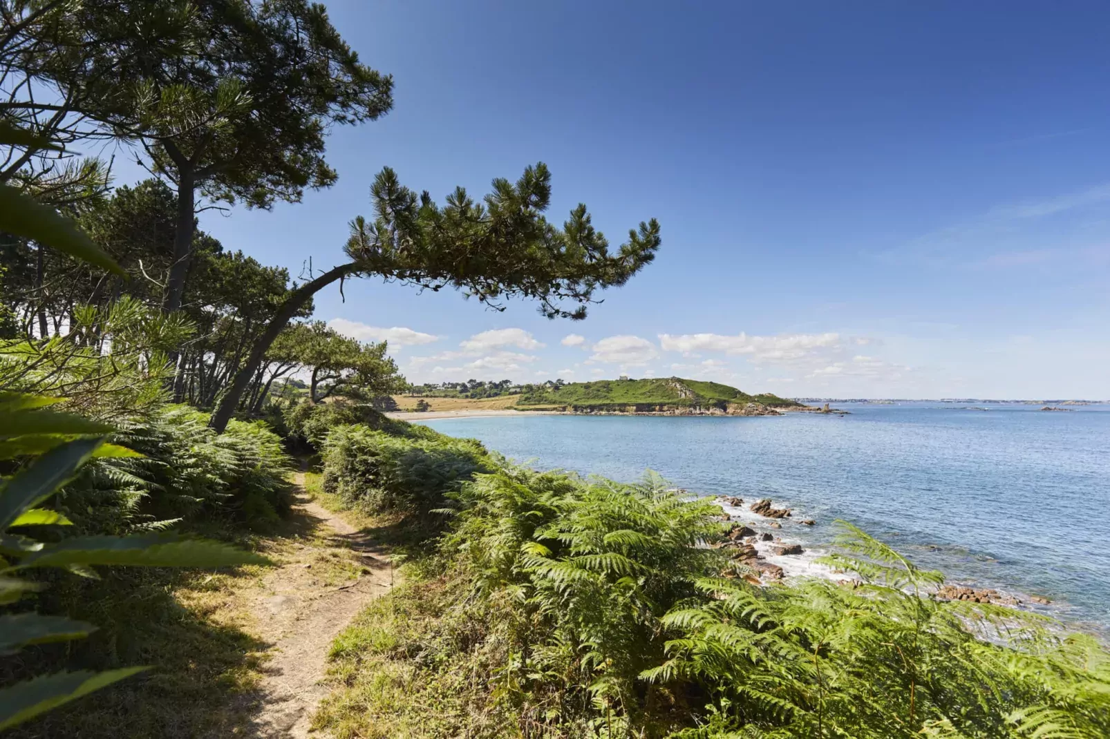 Holiday Home Plougasnou-Areas within 5km in summer