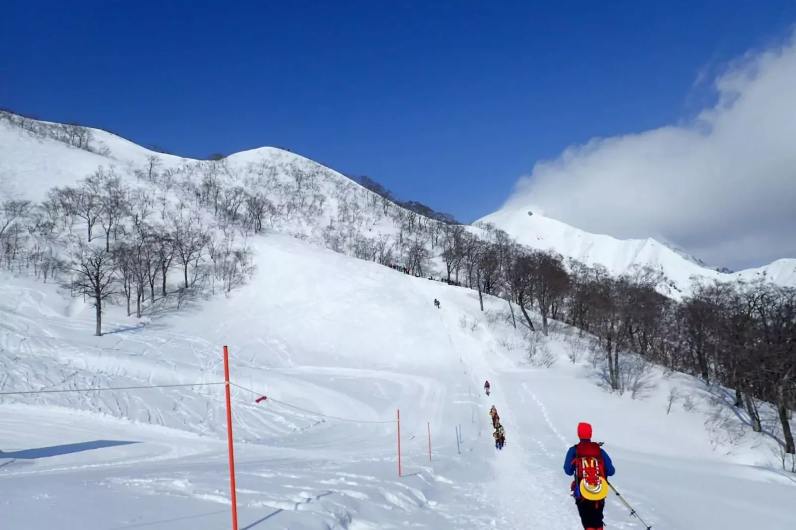 Nuance de Bleu-Area winter 5km