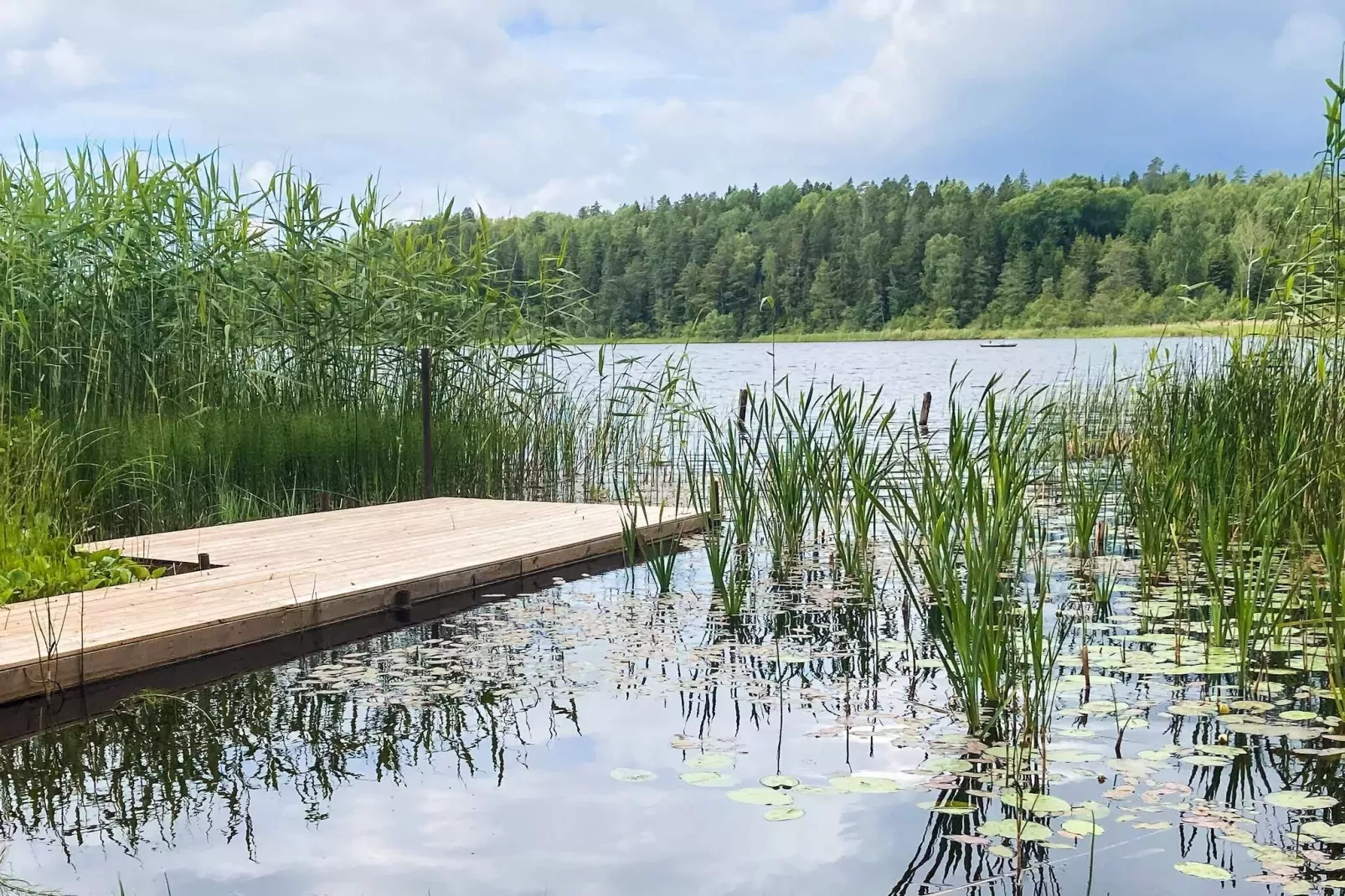 4 person holiday home in ASKERSUND-By Traum-Outdoor