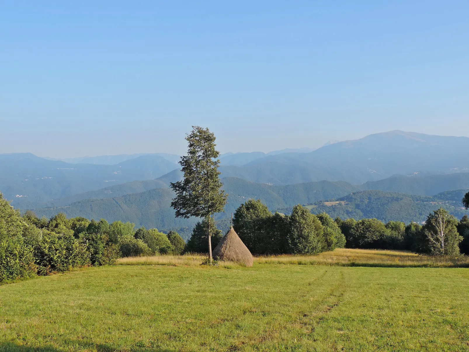 Delle Maschere-Area