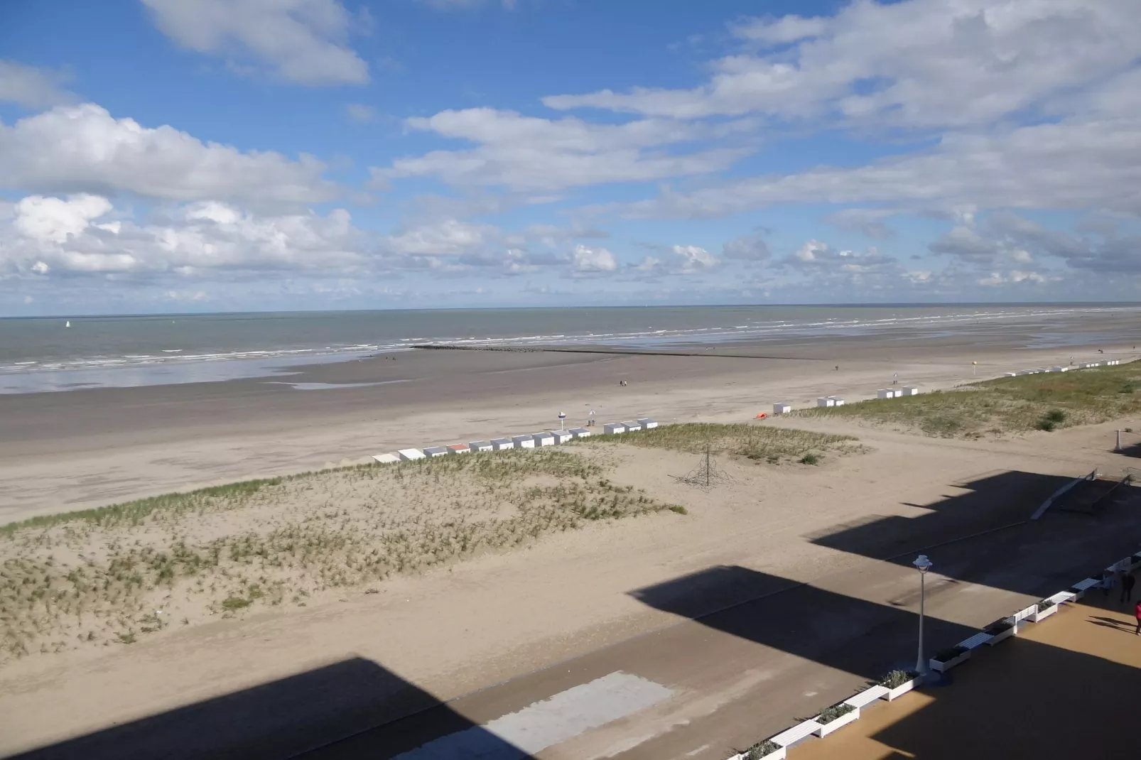 viewsummer
