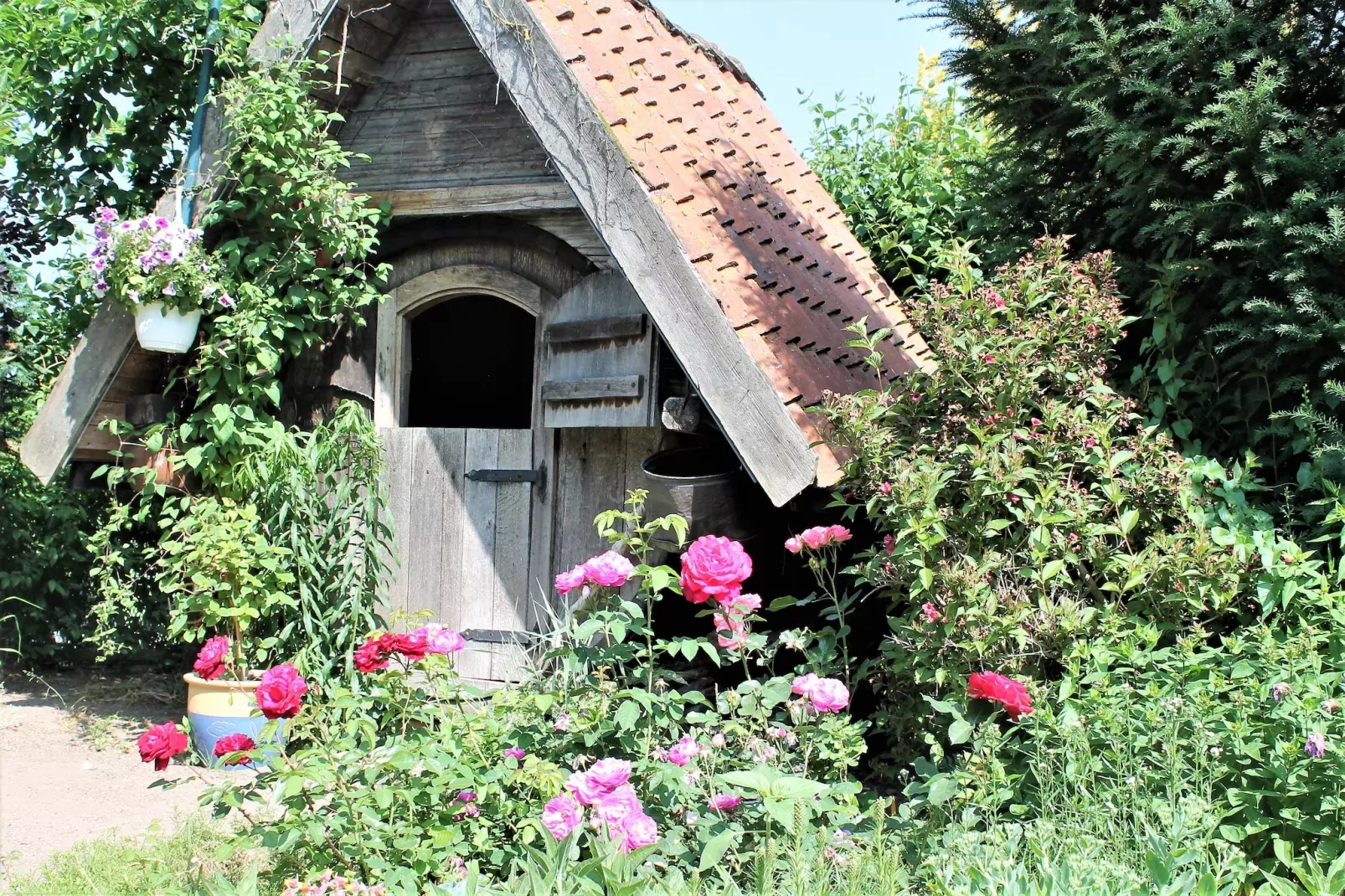 Ferien an der Ostsee-Gardens summer