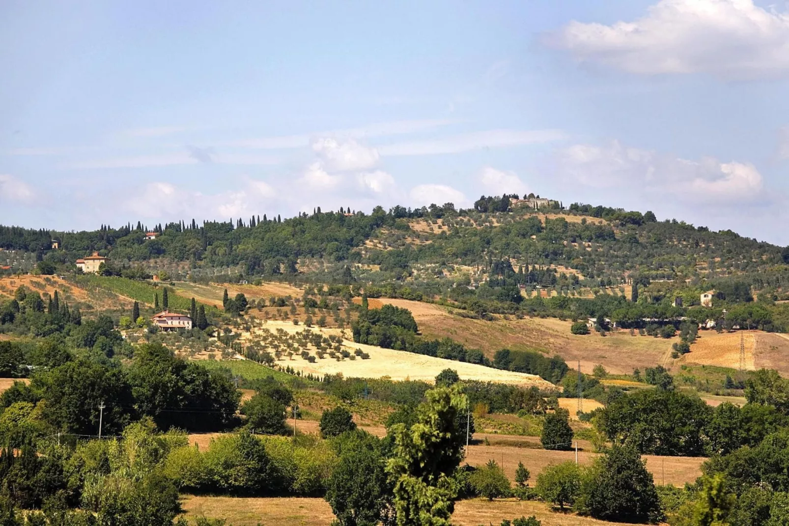 Residence Villa Il Palagio Rignano sull' Arno Type standard-standard-View