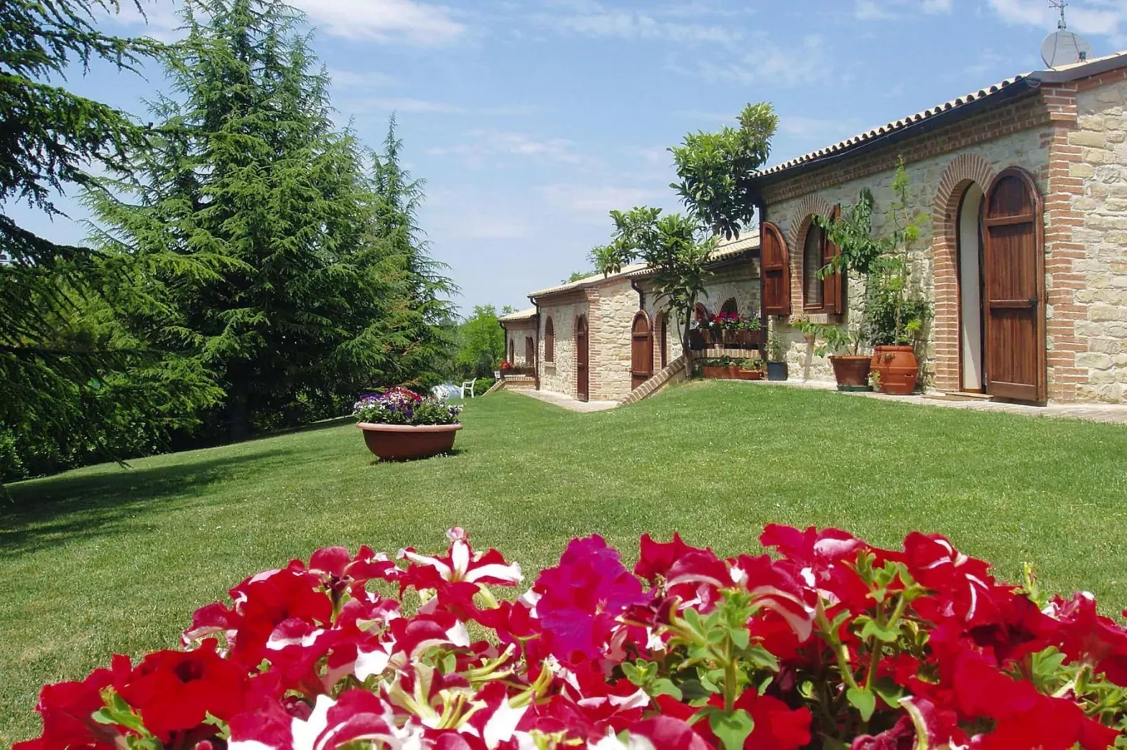 Residence La Ginestra, Montelparo-bilo-Areas summer 1km