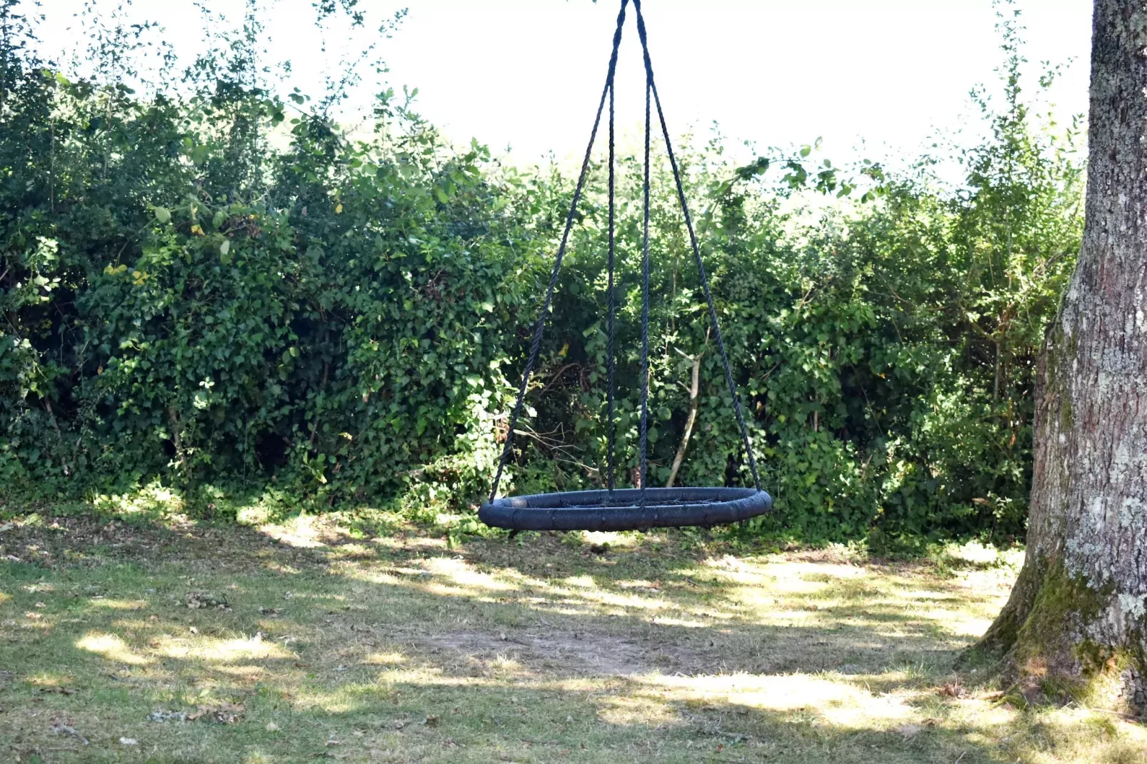 Maison Ferdinand-Jardin d'été