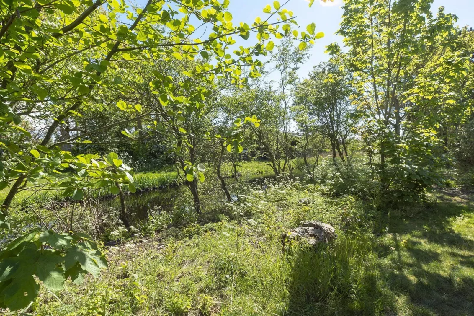 Previnaireweg 34-Gardens summer