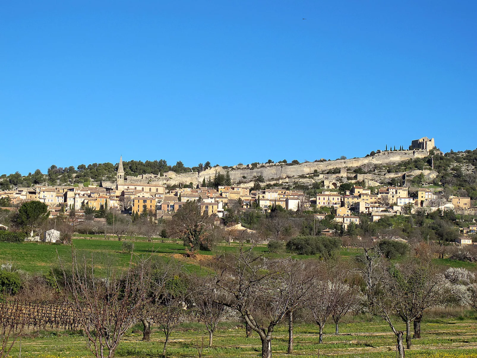 Le Clos Savornin V10ID-Area