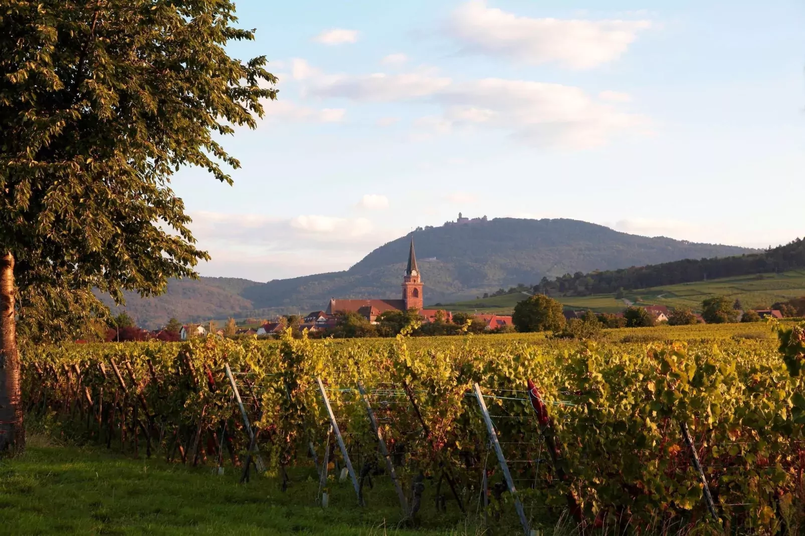 Le Domaine des Rois 1-Areas summer 1km